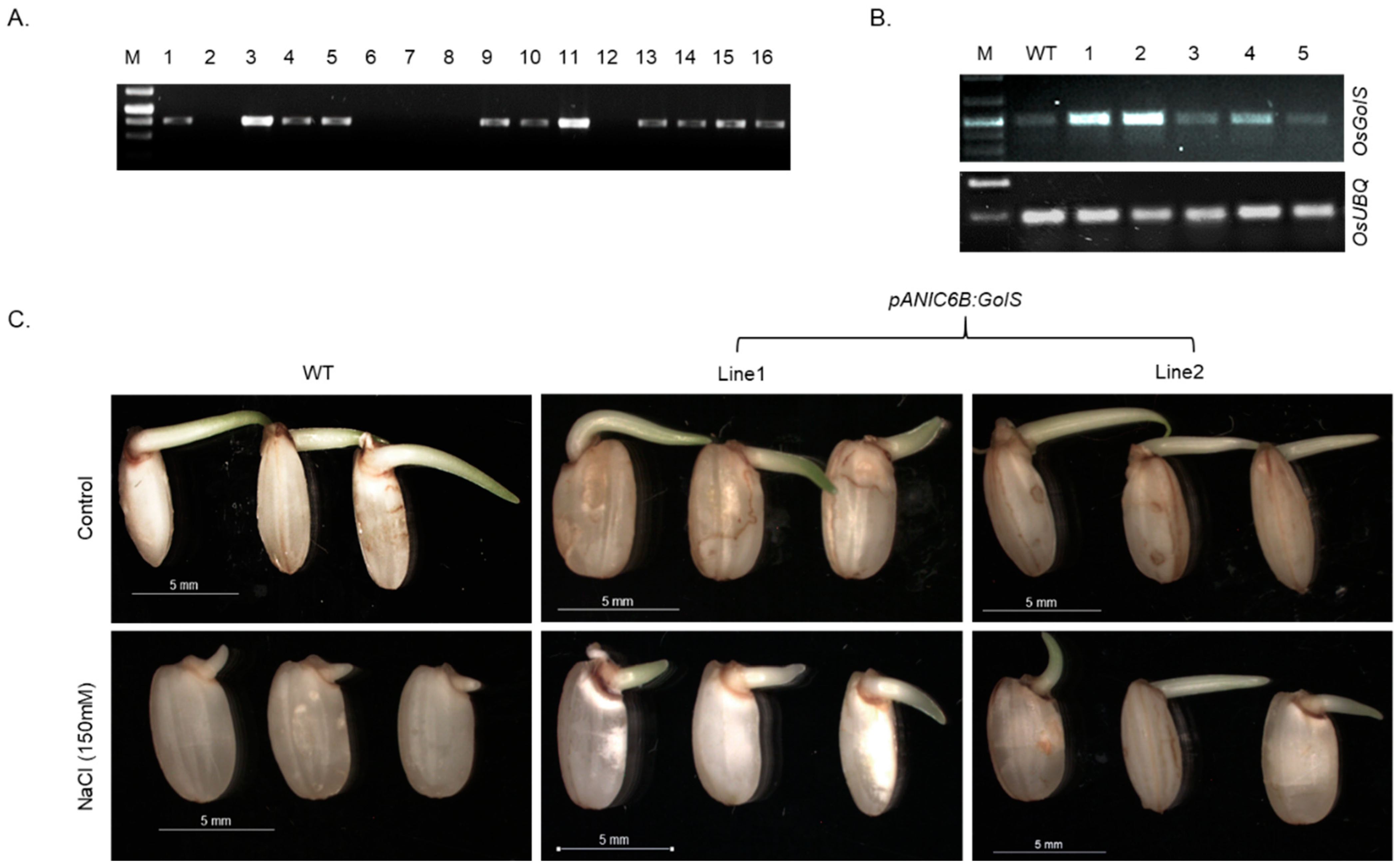 Agronomy 12 00179 g003