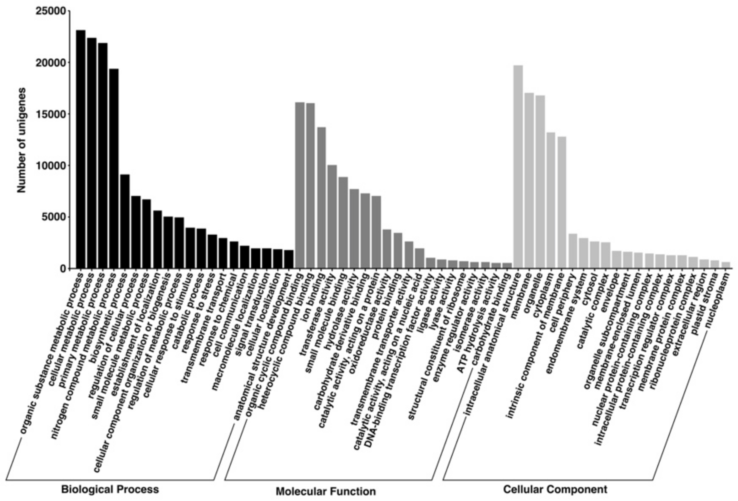 Agronomy 12 00184 g003 Agronomy 12 00184 g003