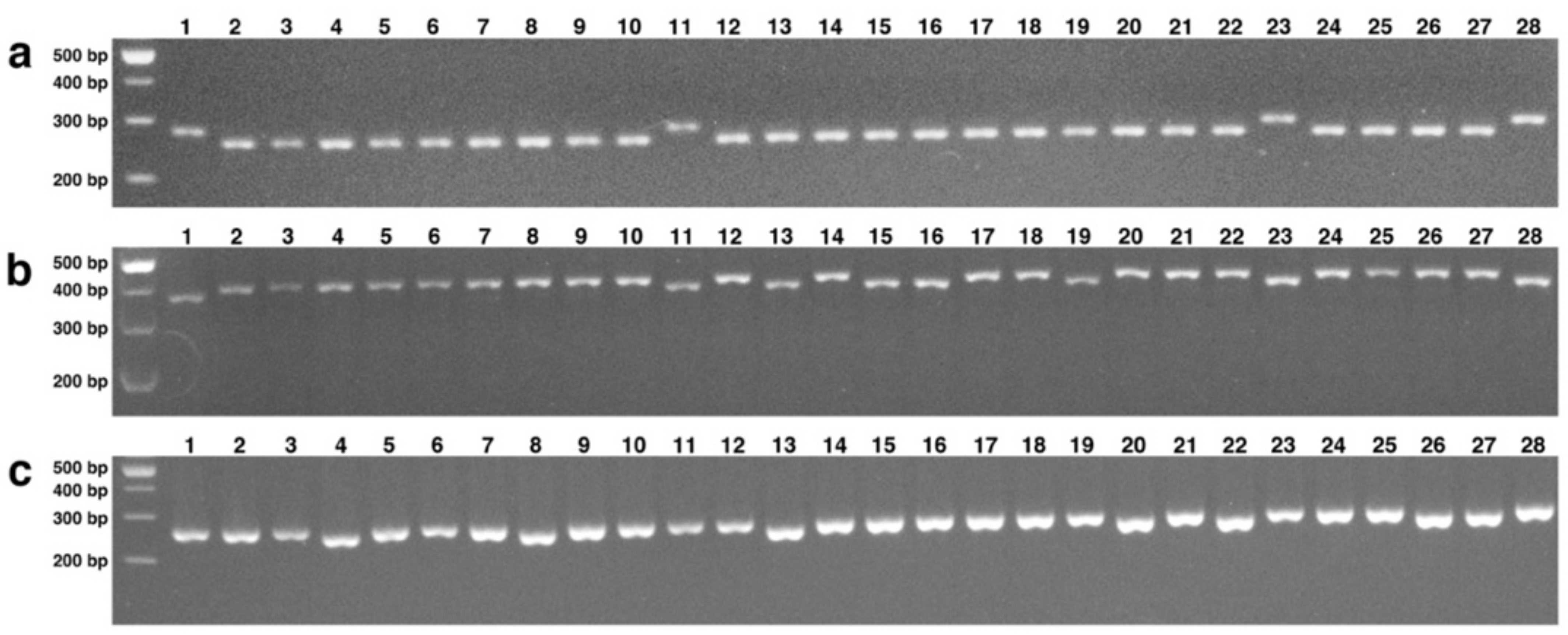 Agronomy 12 00184 g005 Agronomy 12 00184 g005