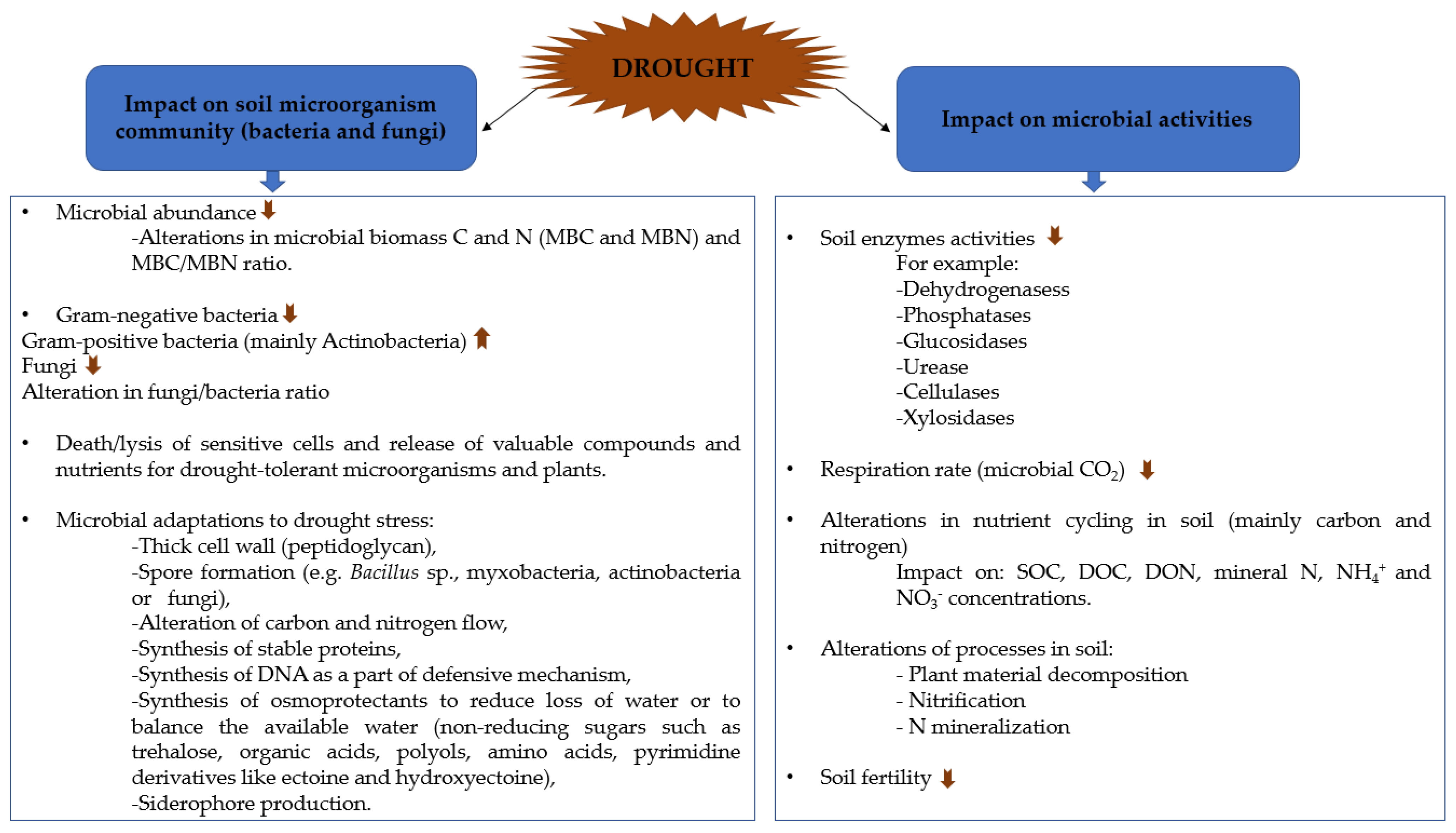 Agronomy 12 00189 g001