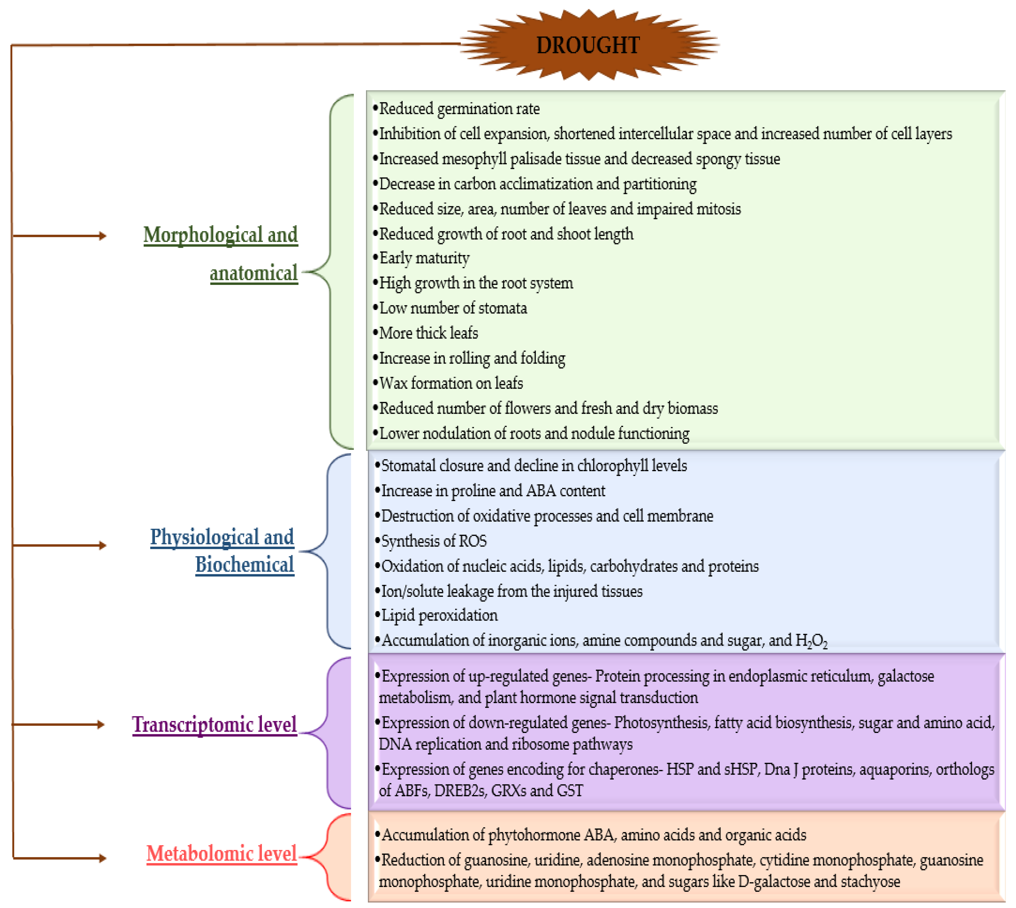 Agronomy 12 00189 g002