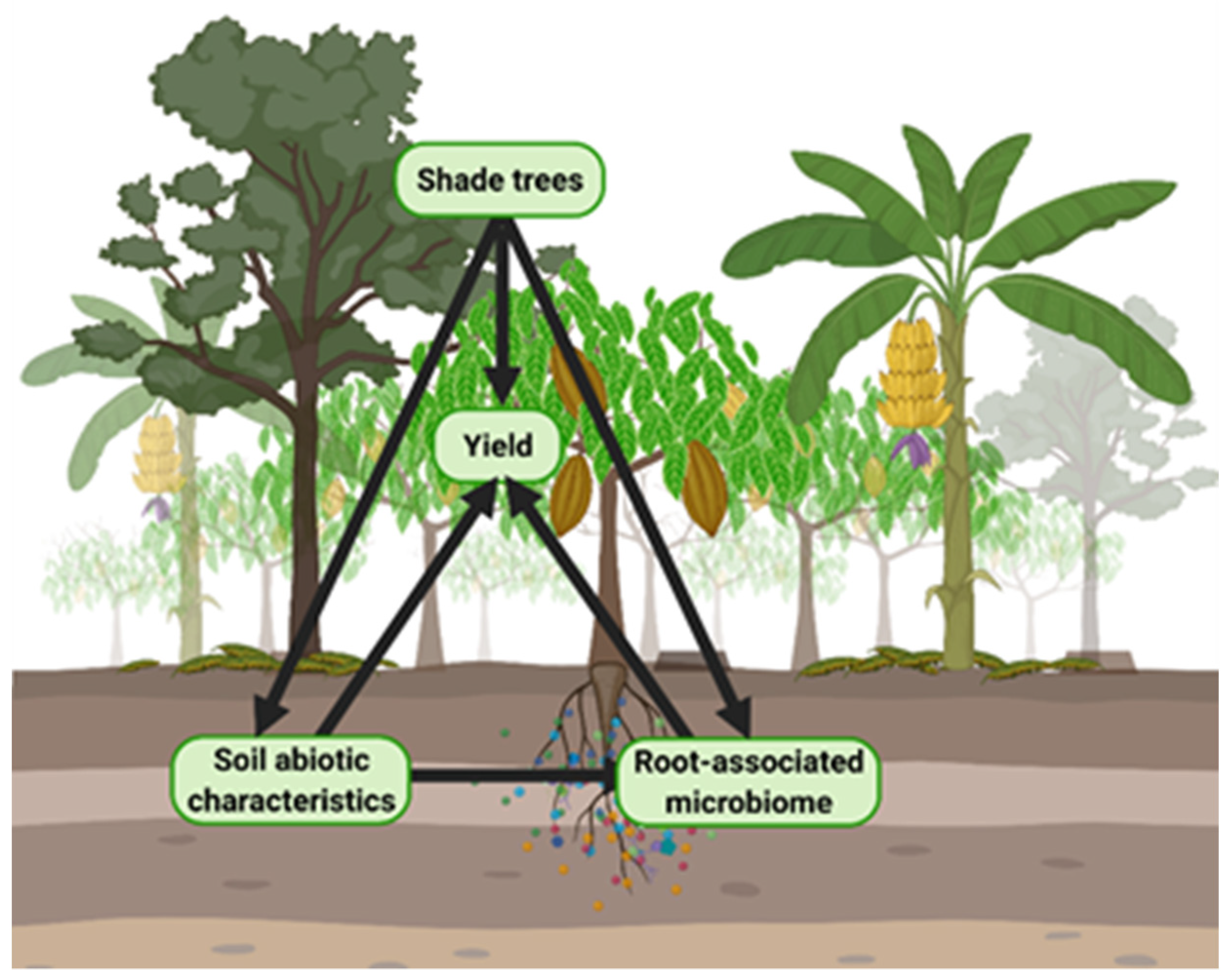 Agronomy 12 00195 g001