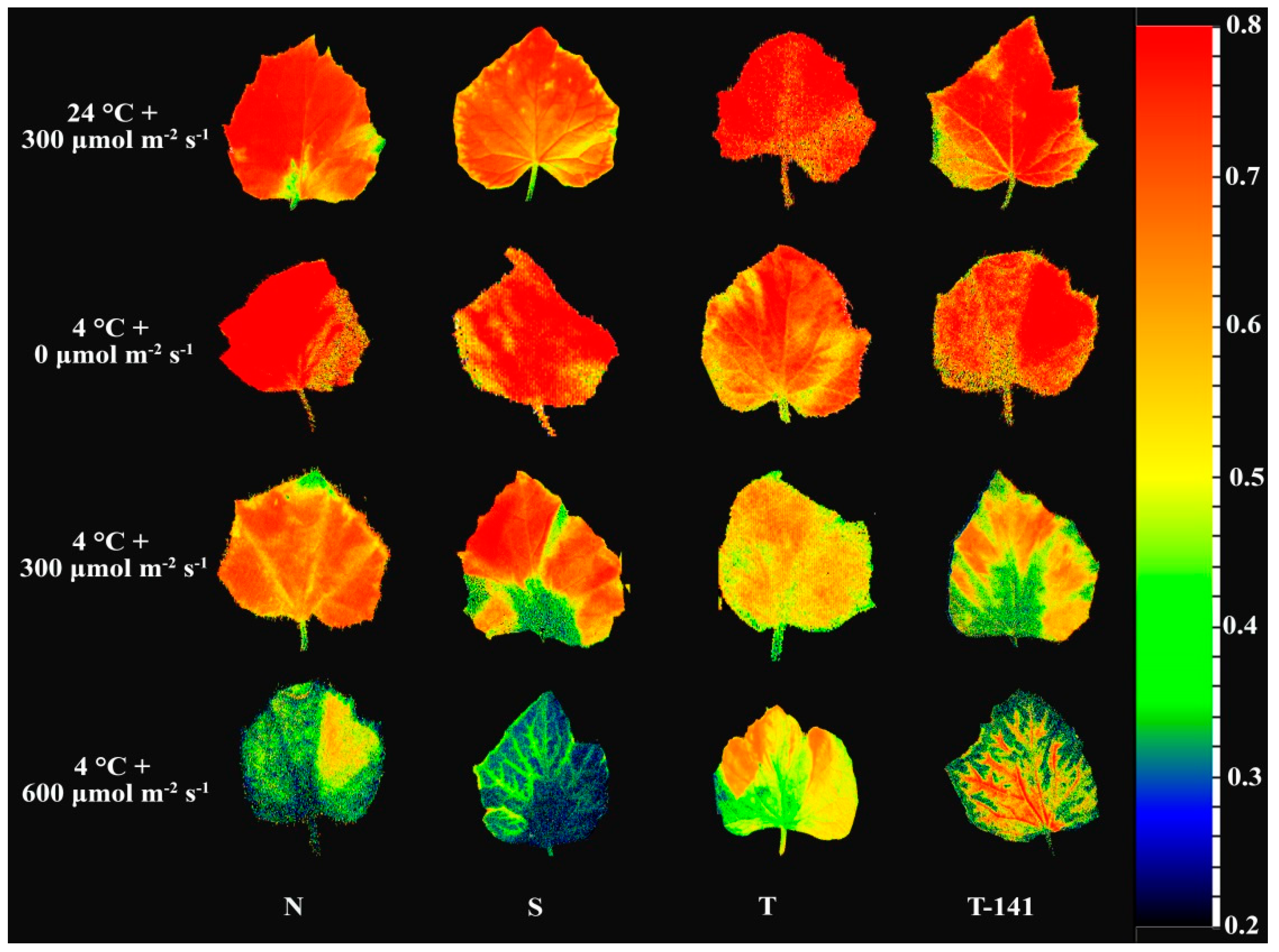 Agronomy 12 00201 g003 550