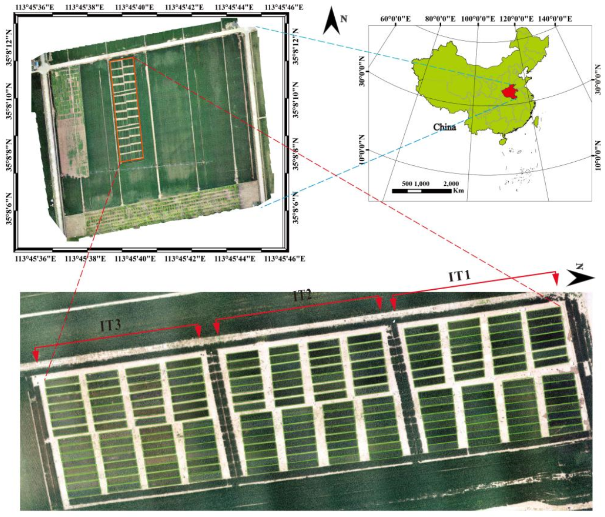 Agronomy 12 00202 g002