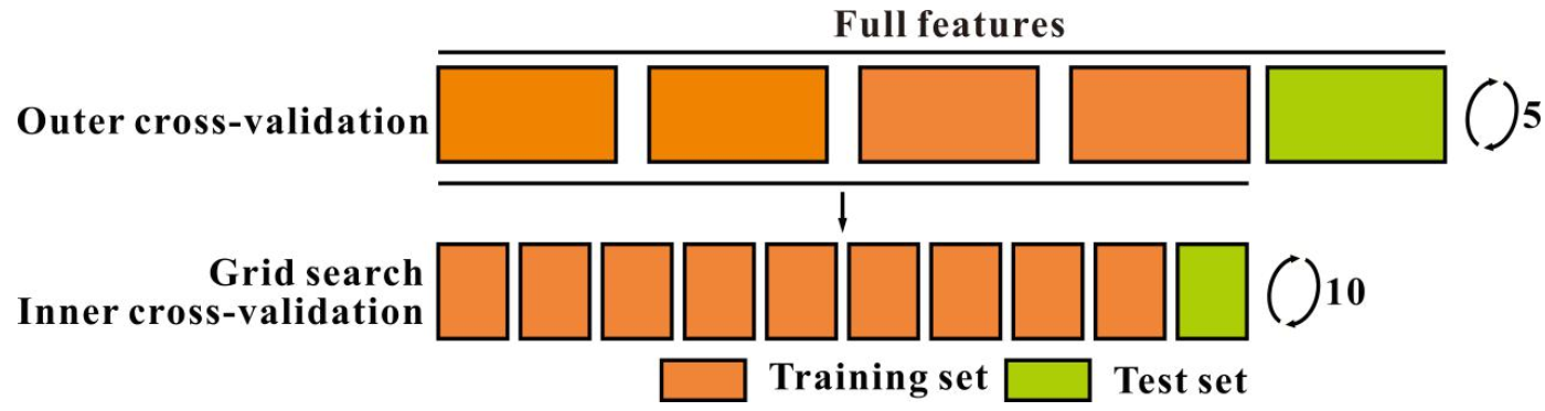 Agronomy 12 00202 g004