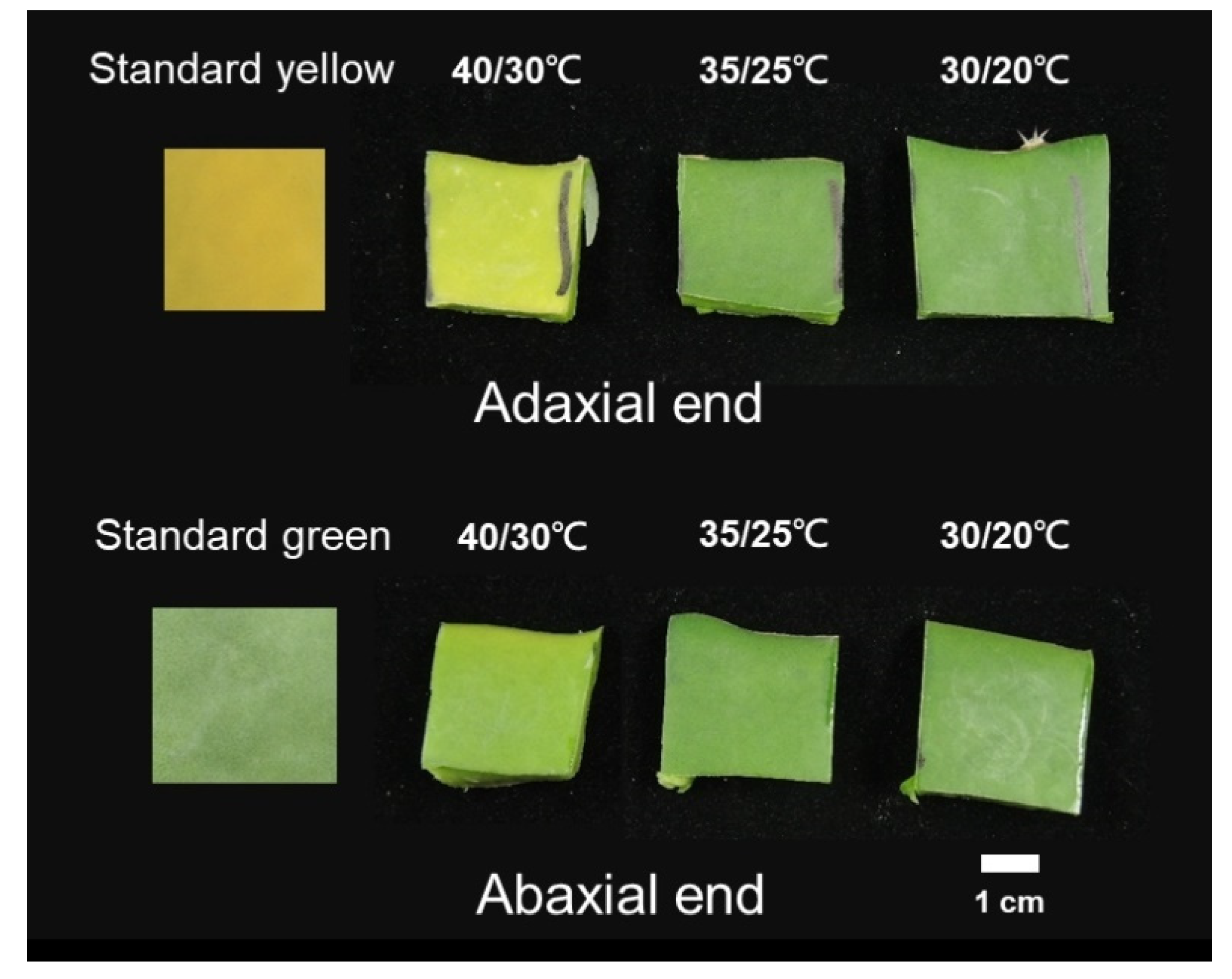 Agronomy 12 00225 g001 550