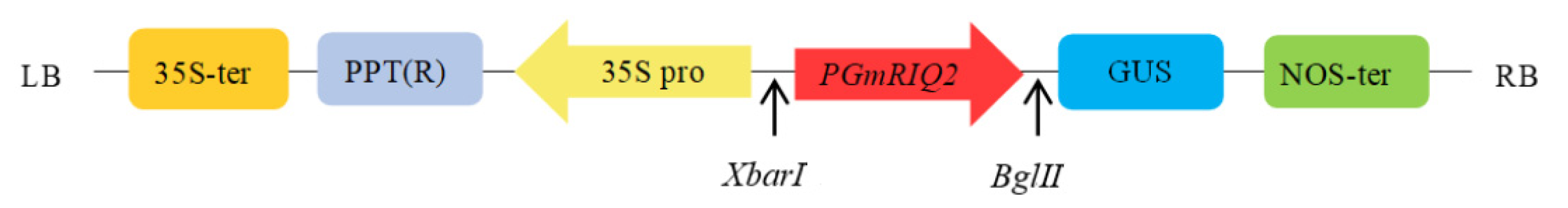 Agronomy 12 00227 g001 550