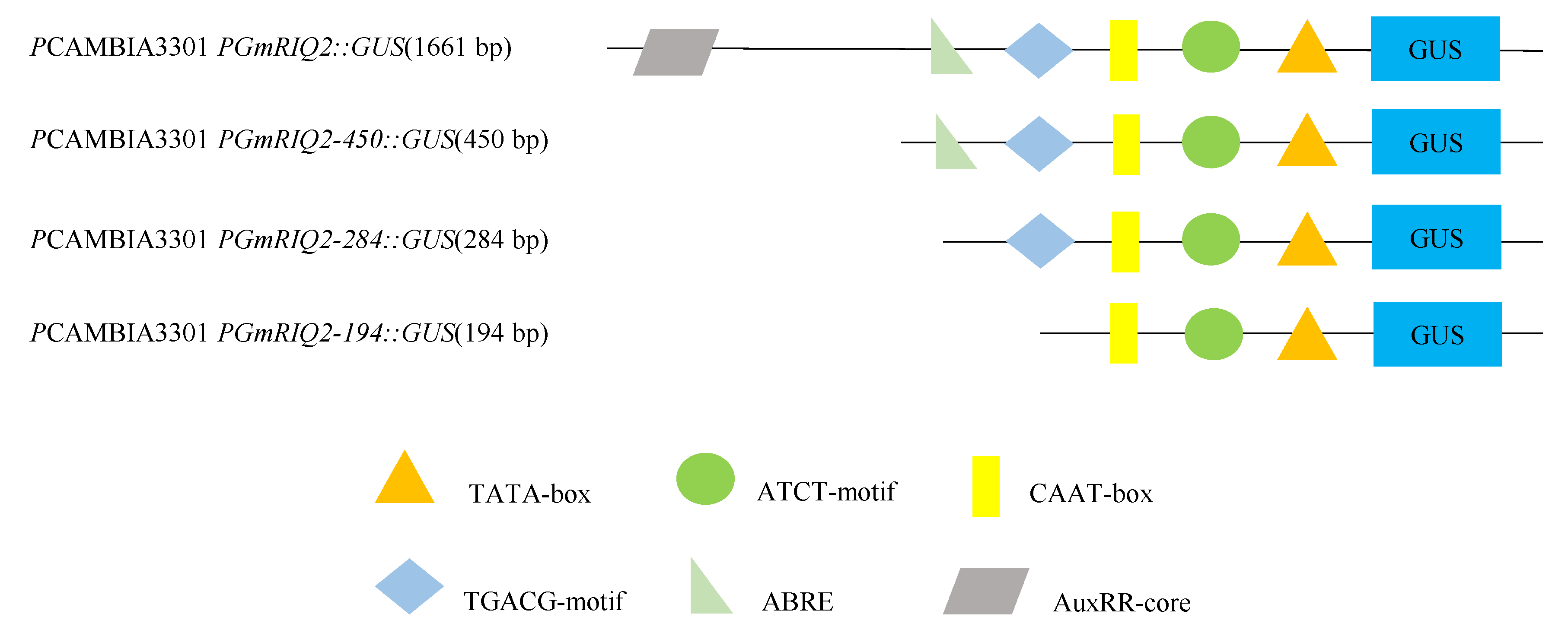 Agronomy 12 00227 g002 550