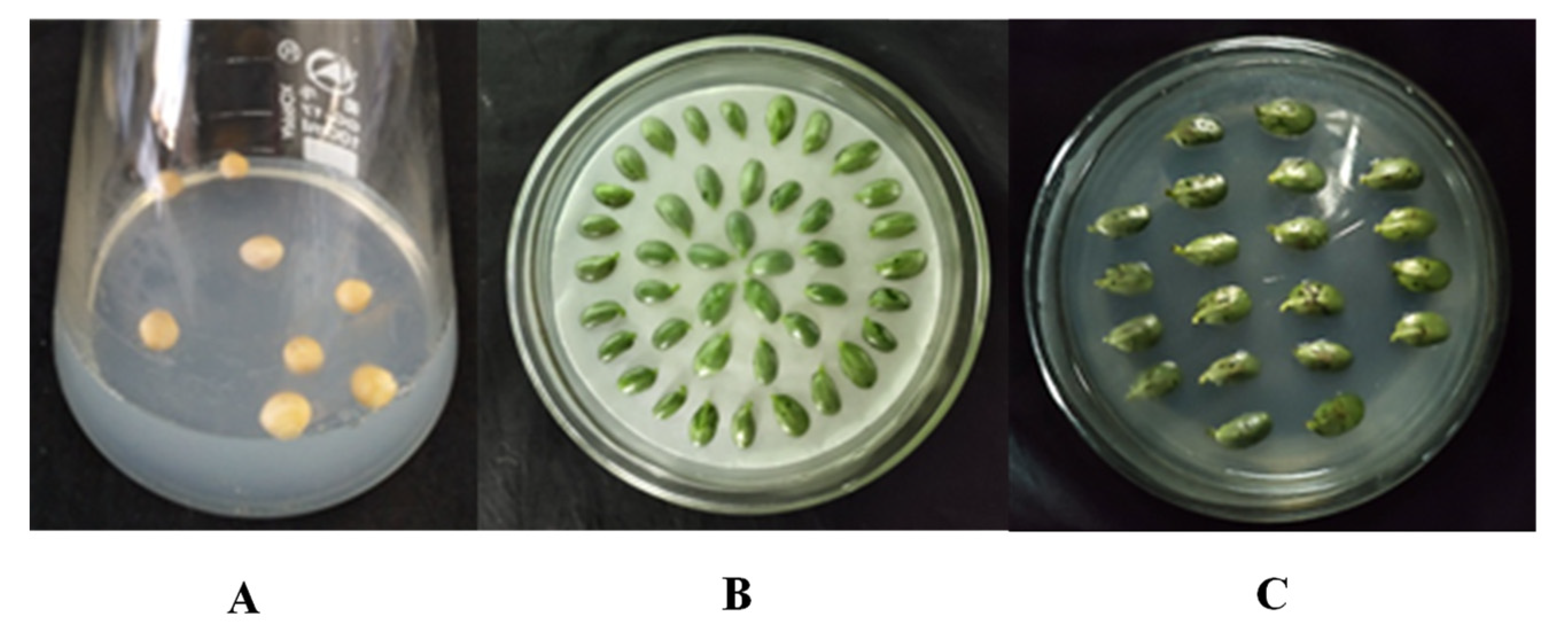 Agronomy 12 00227 g003 550