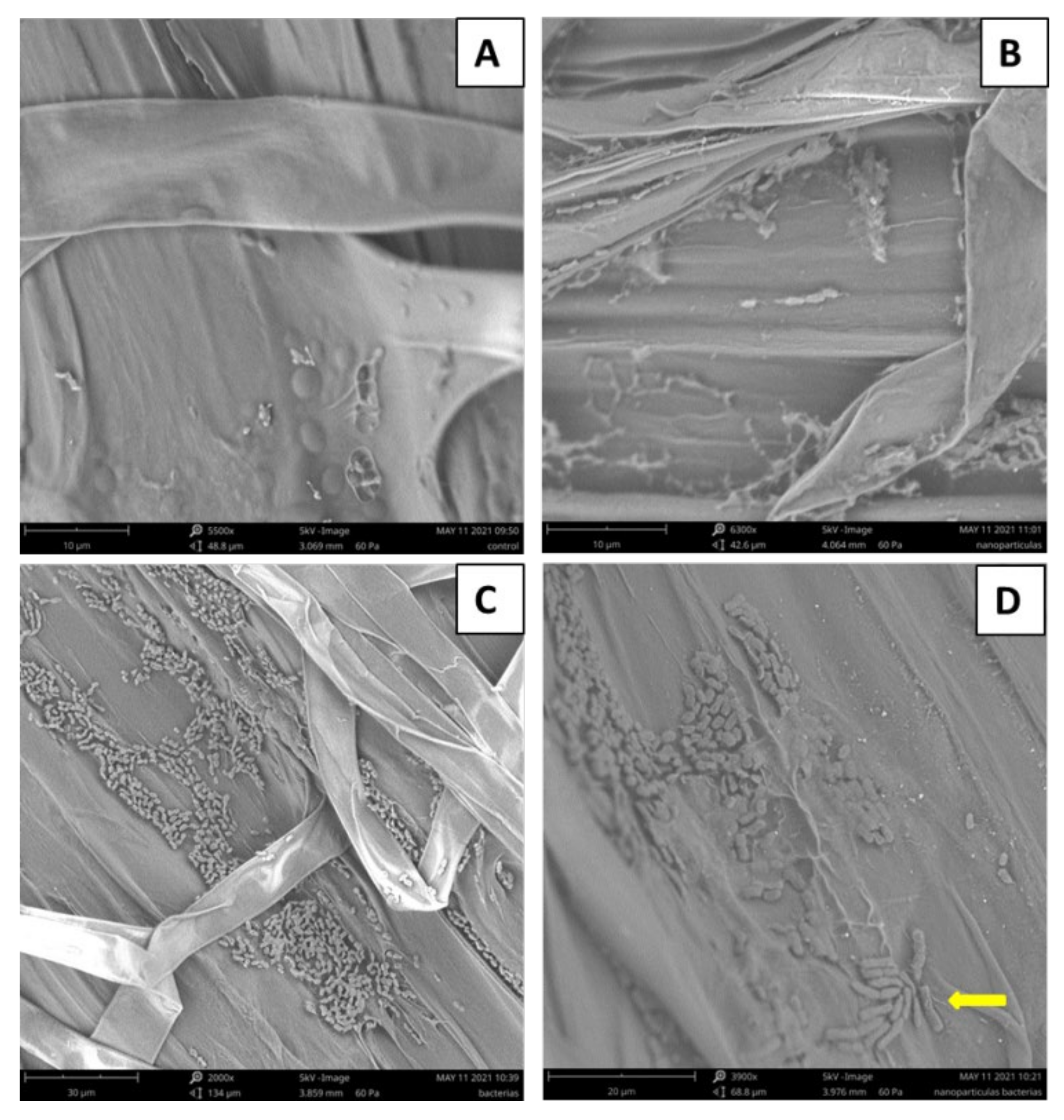 Agronomy 12 00228 g002 550