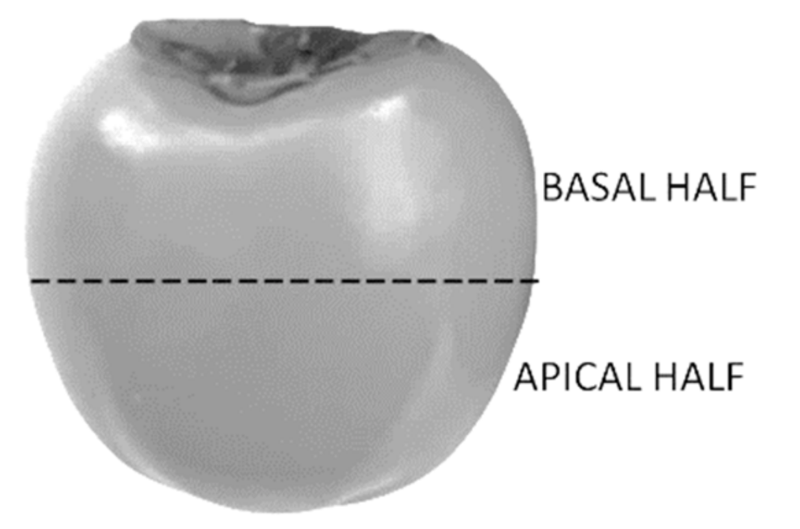 Agronomy 12 00237 g001