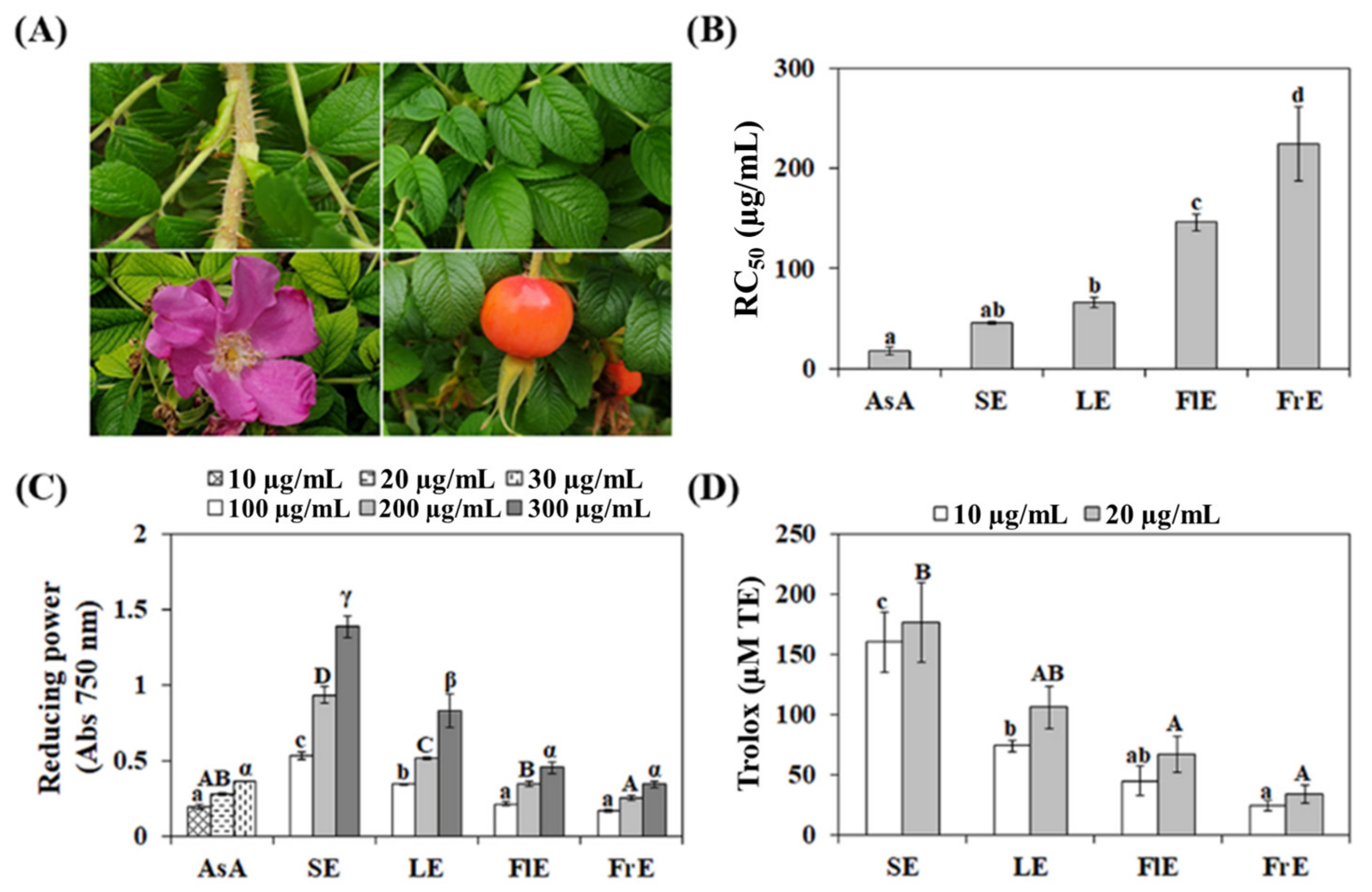 Agronomy 12 00238 g001 Agronomy 12 00238 g001
