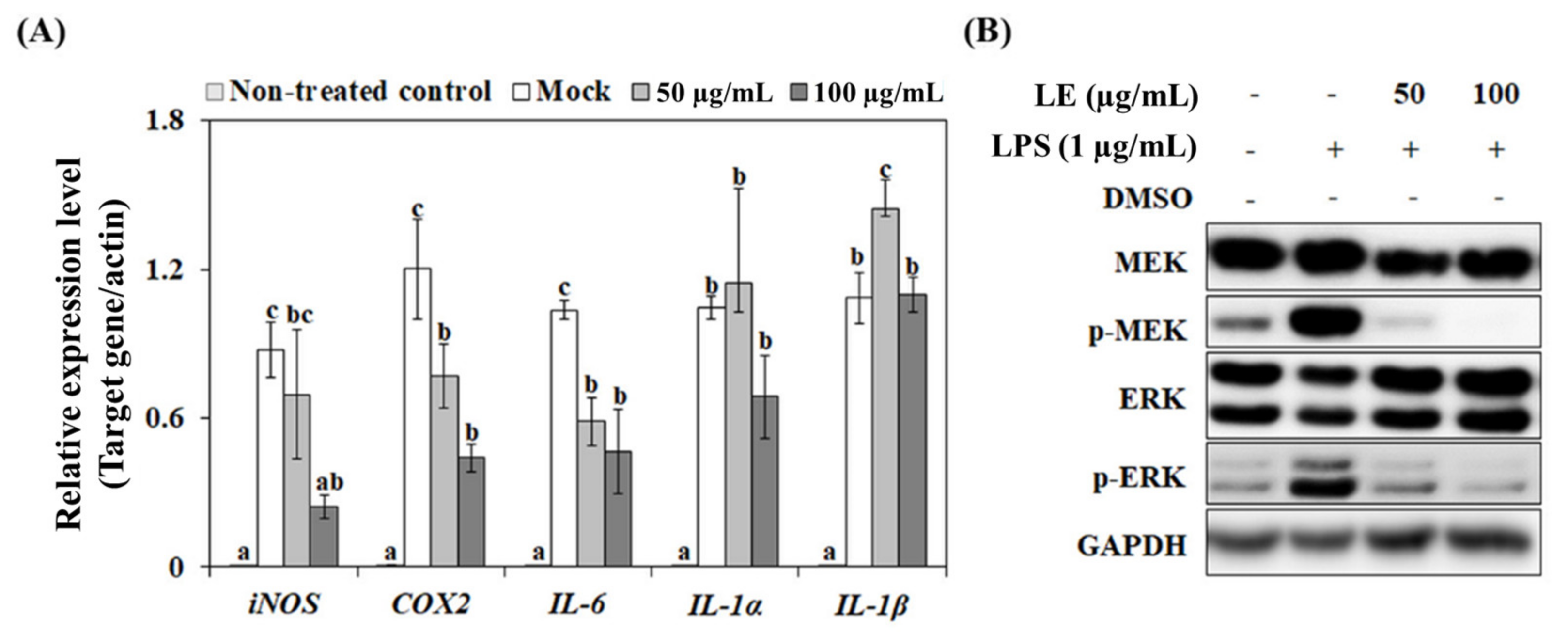 Agronomy 12 00238 g004 Agronomy 12 00238 g004