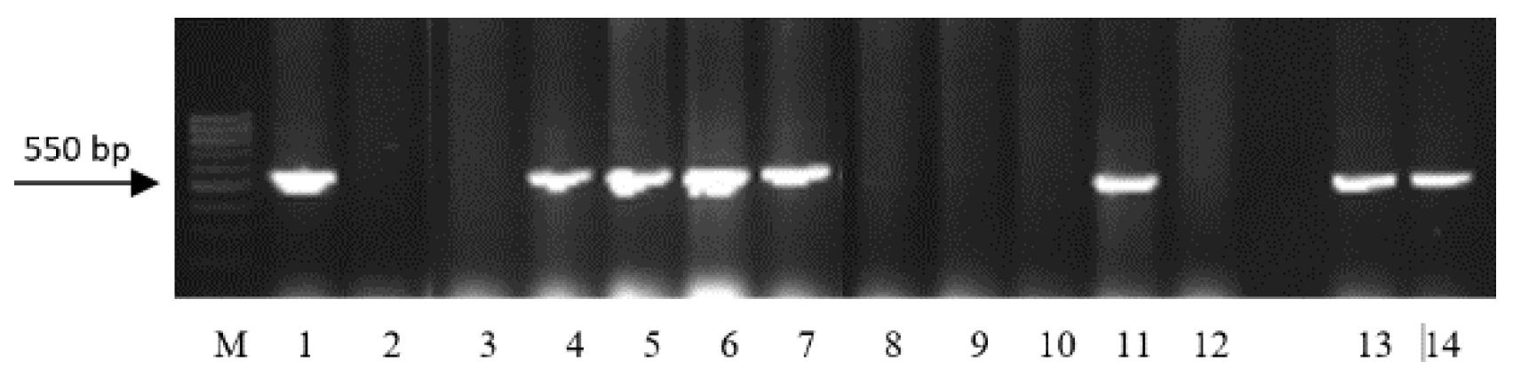 Agronomy 12 00242 g007