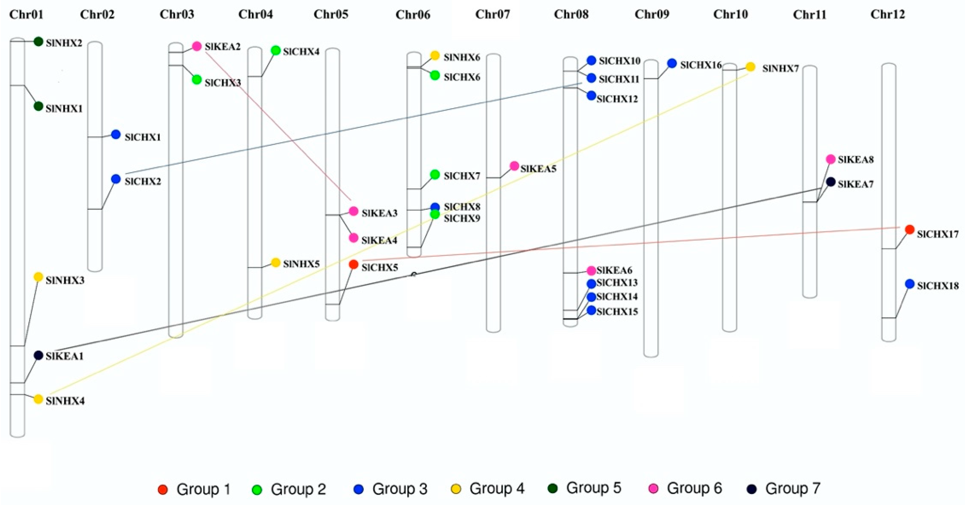 Agronomy 12 00245 g003 550