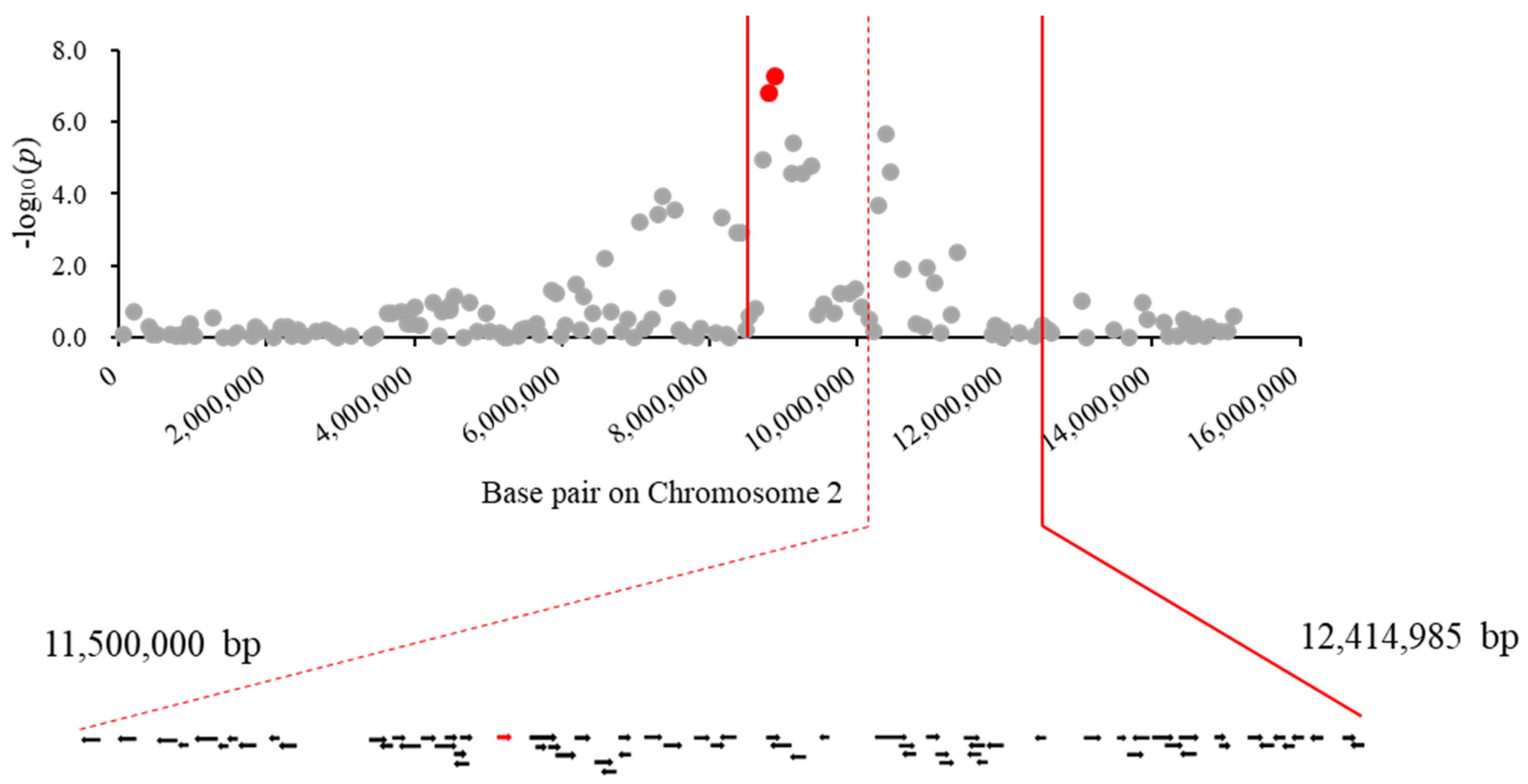 Agronomy 12 00250 g003