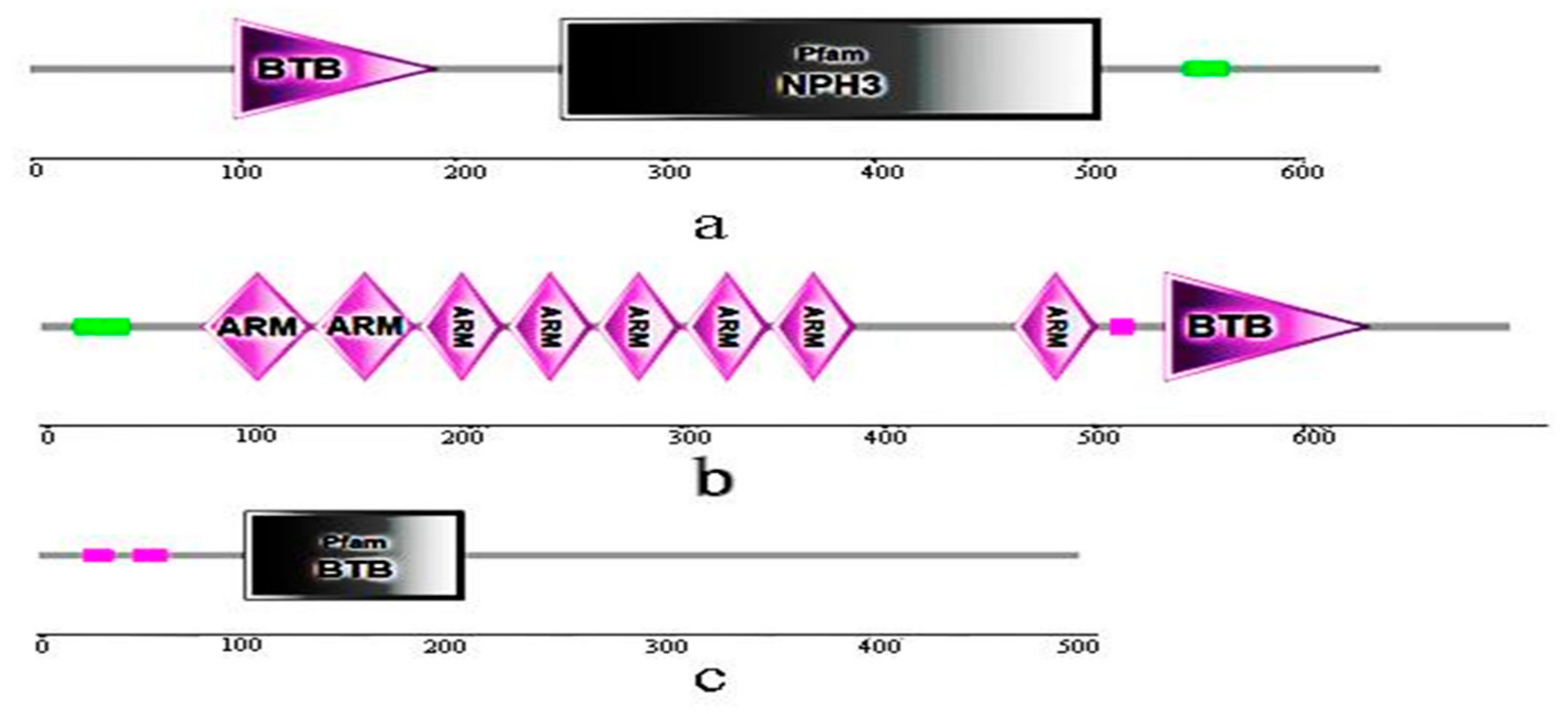 mx3000 remote diagram mx3000 remote diagram