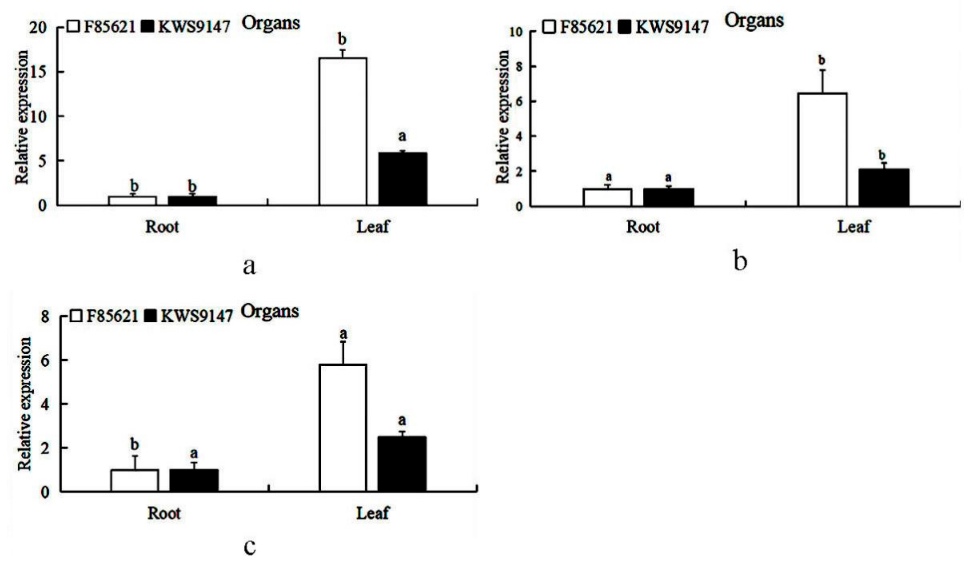 Agronomy 12 00253 g008 550