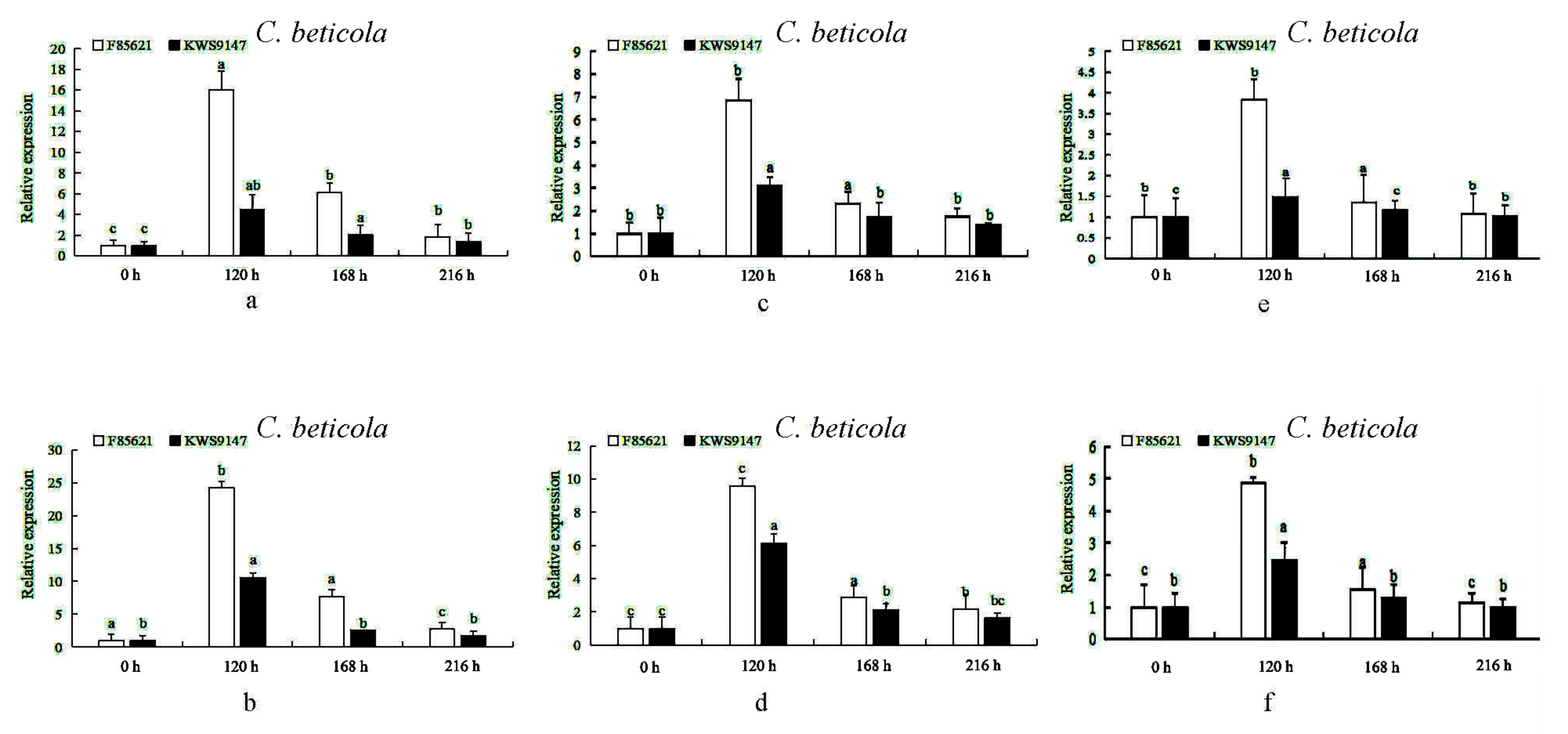 Agronomy 12 00253 g009 550