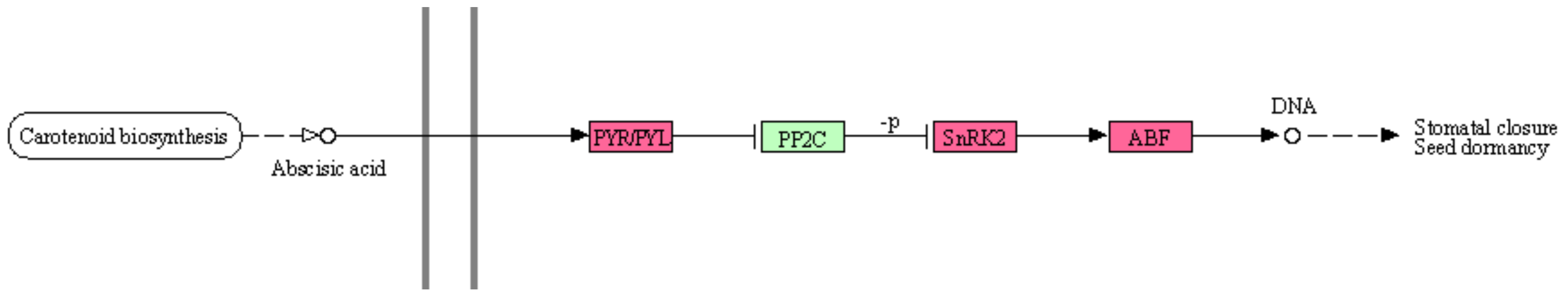Agronomy 12 00259 g010
