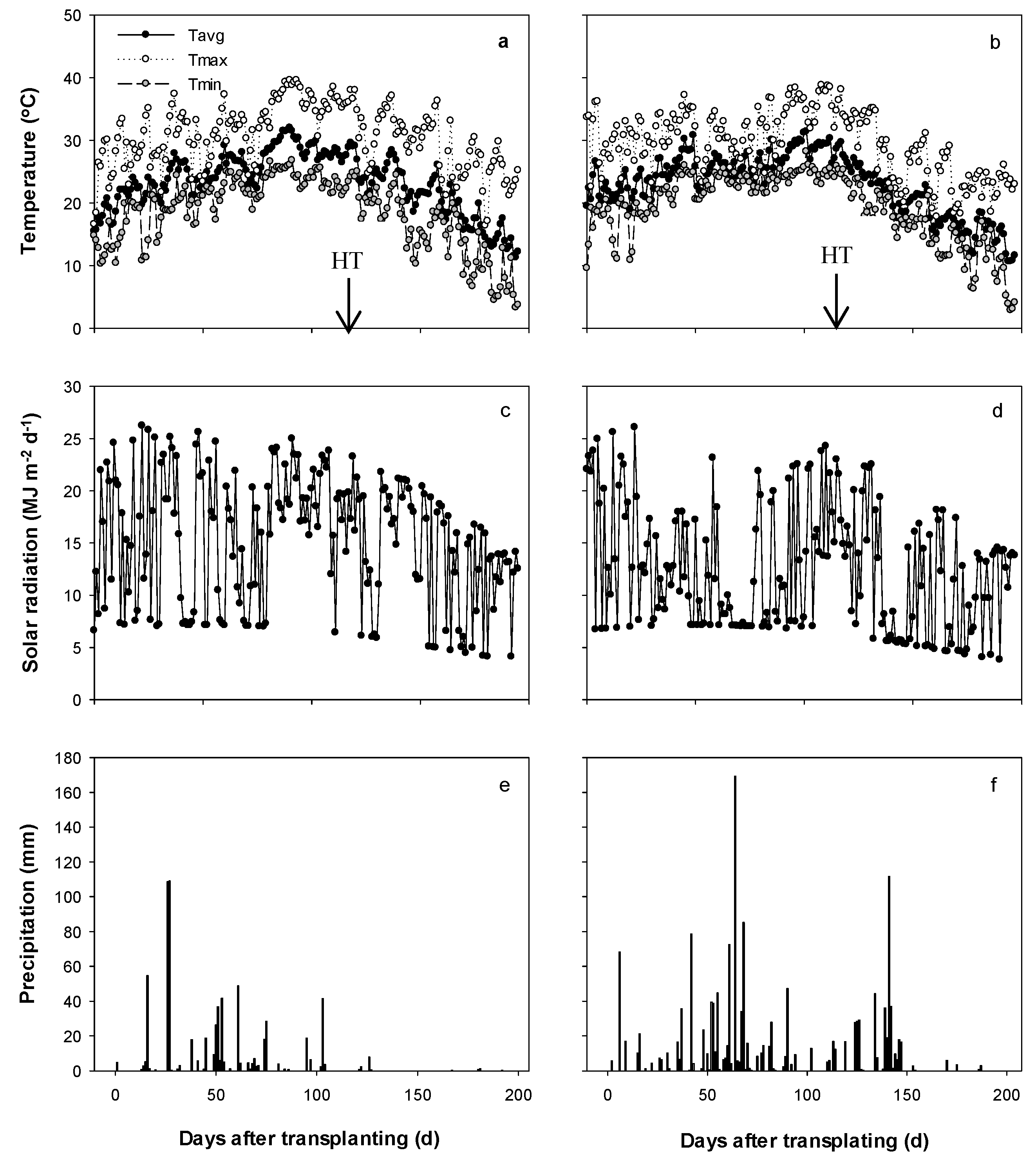 Agronomy | Free Full-Text | Border Effect on Ratoon Crop Yield in 