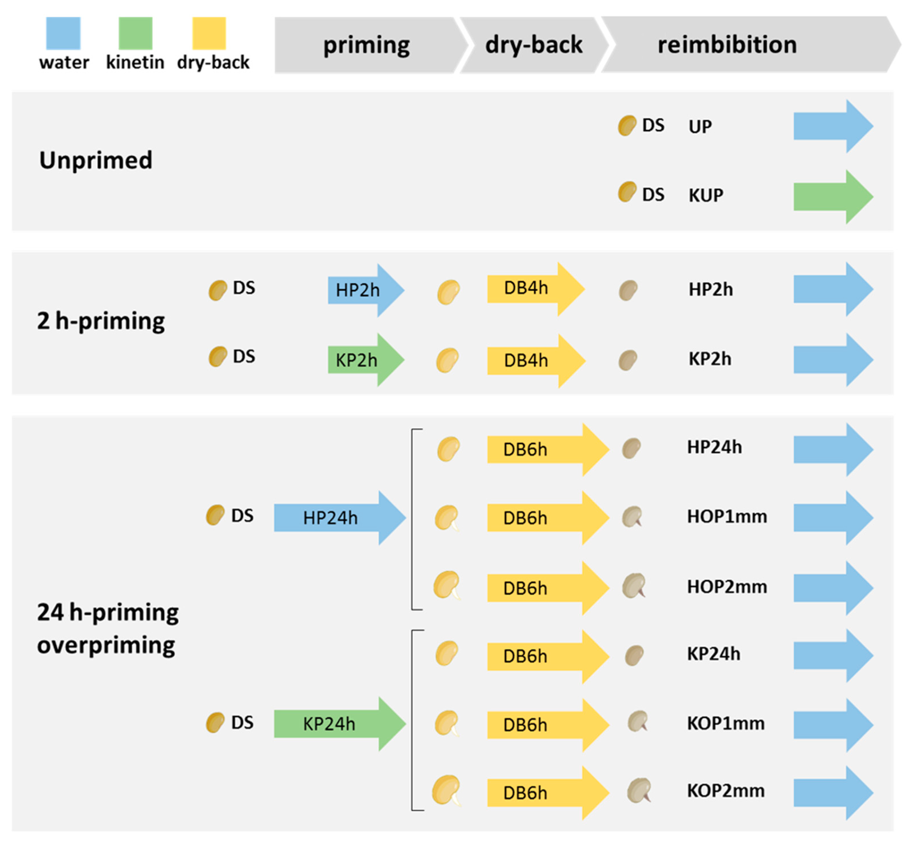 Agronomy 12 00268 g001 550