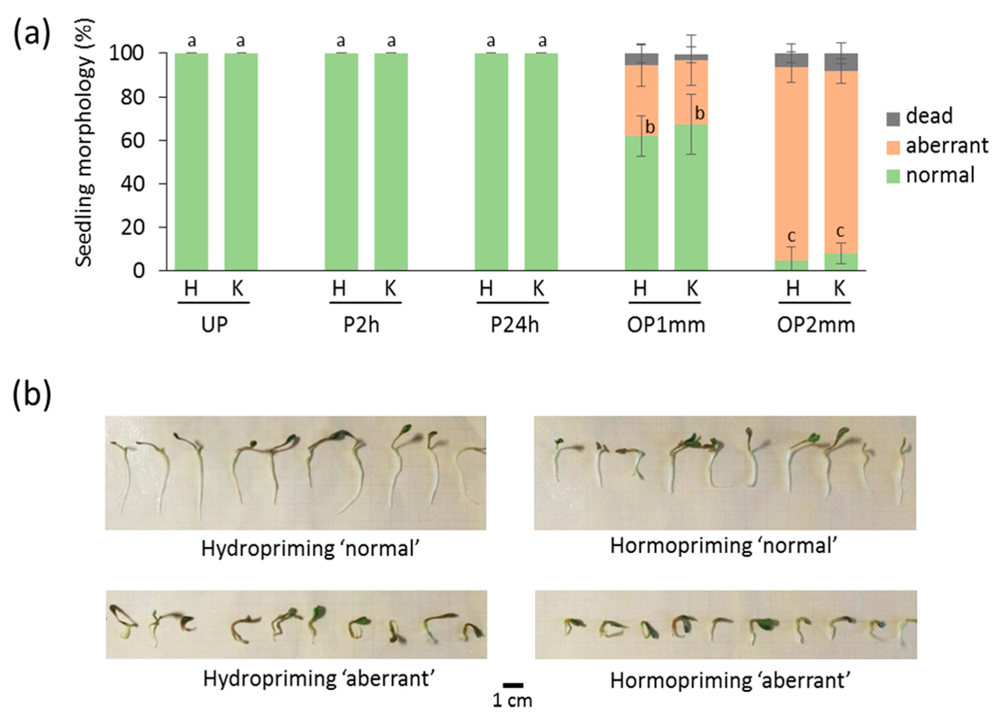 Agronomy 12 00268 g003 550