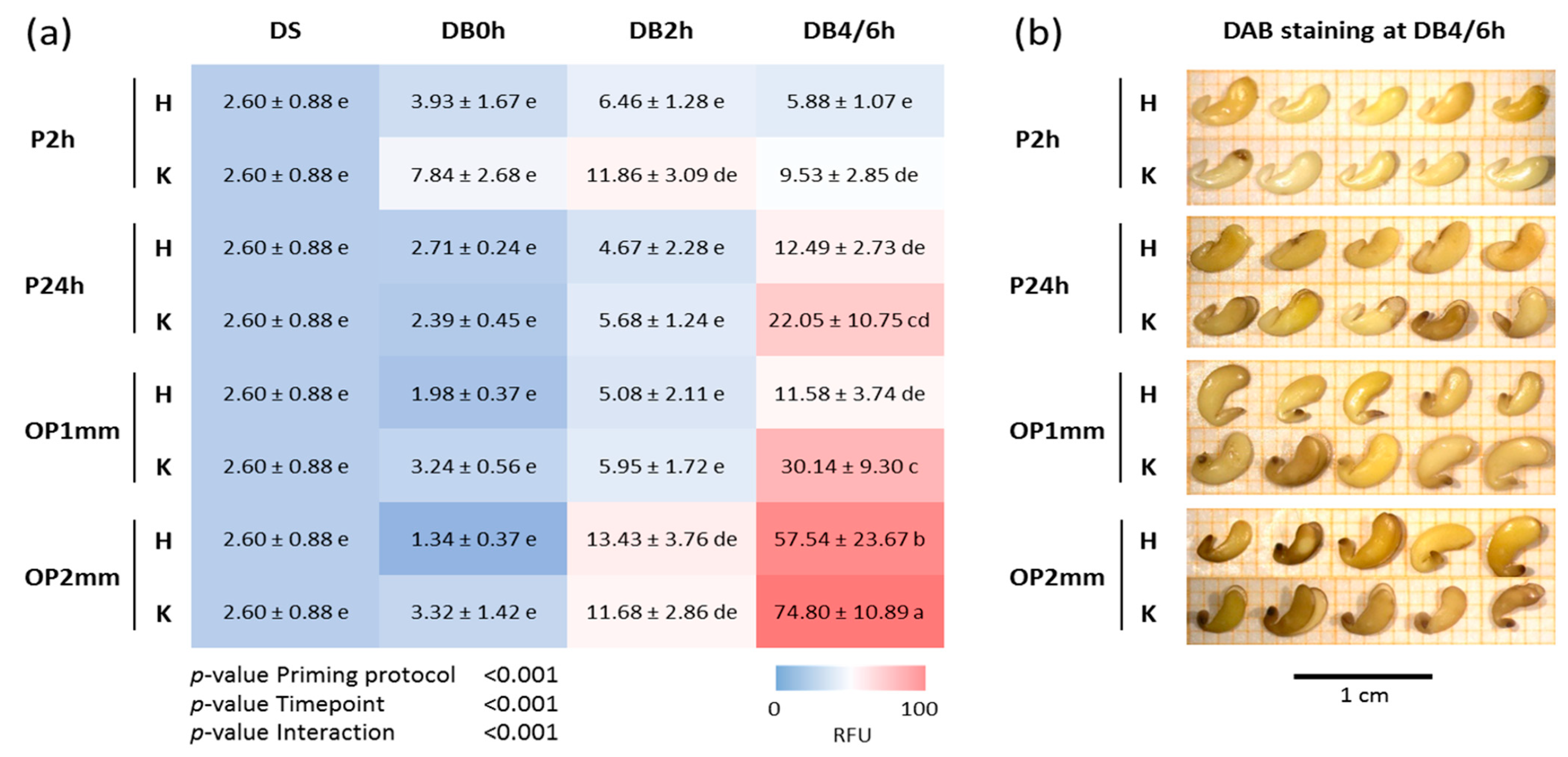 Agronomy 12 00268 g005 550