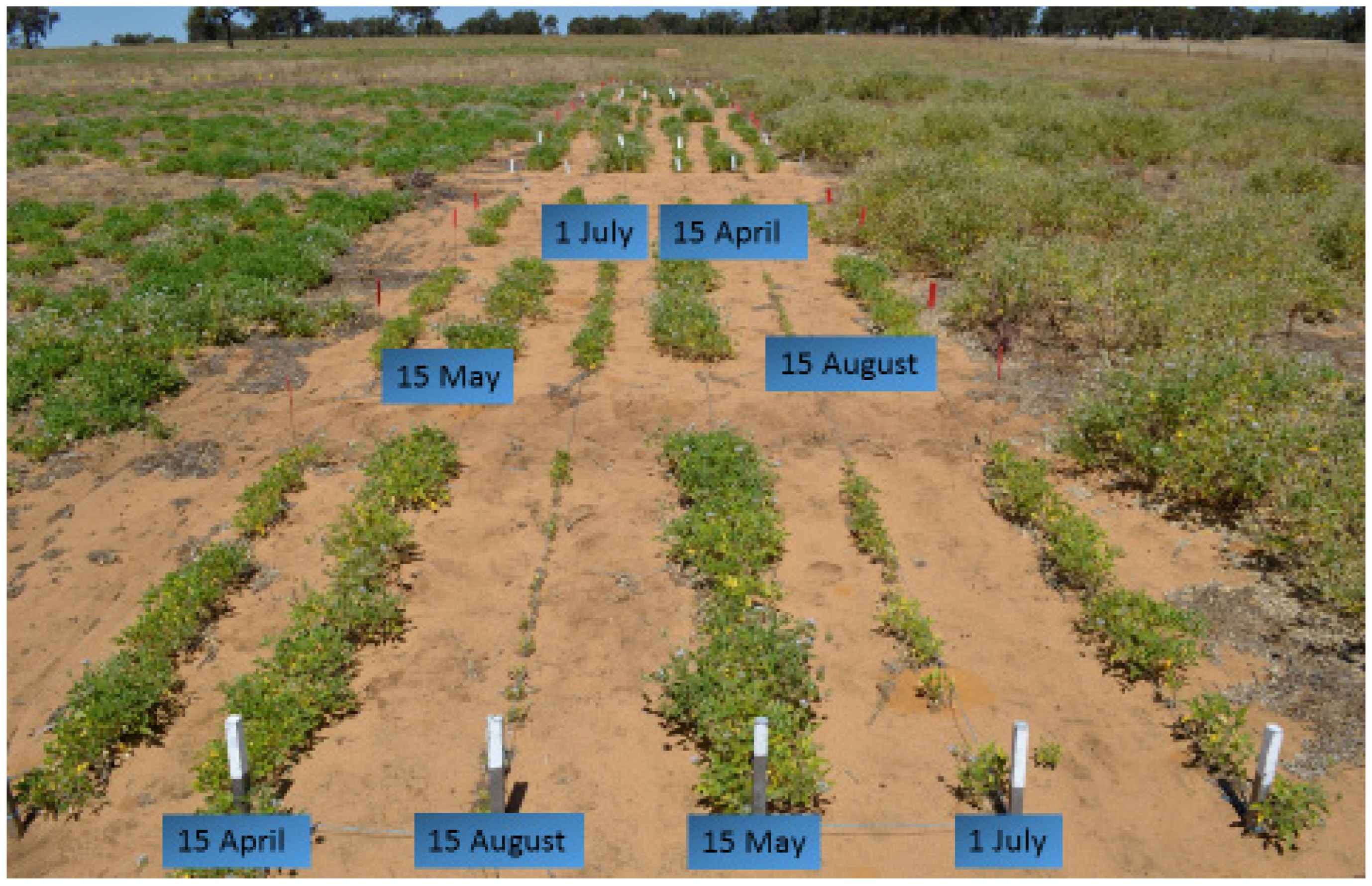 Agronomy 12 00274 g002