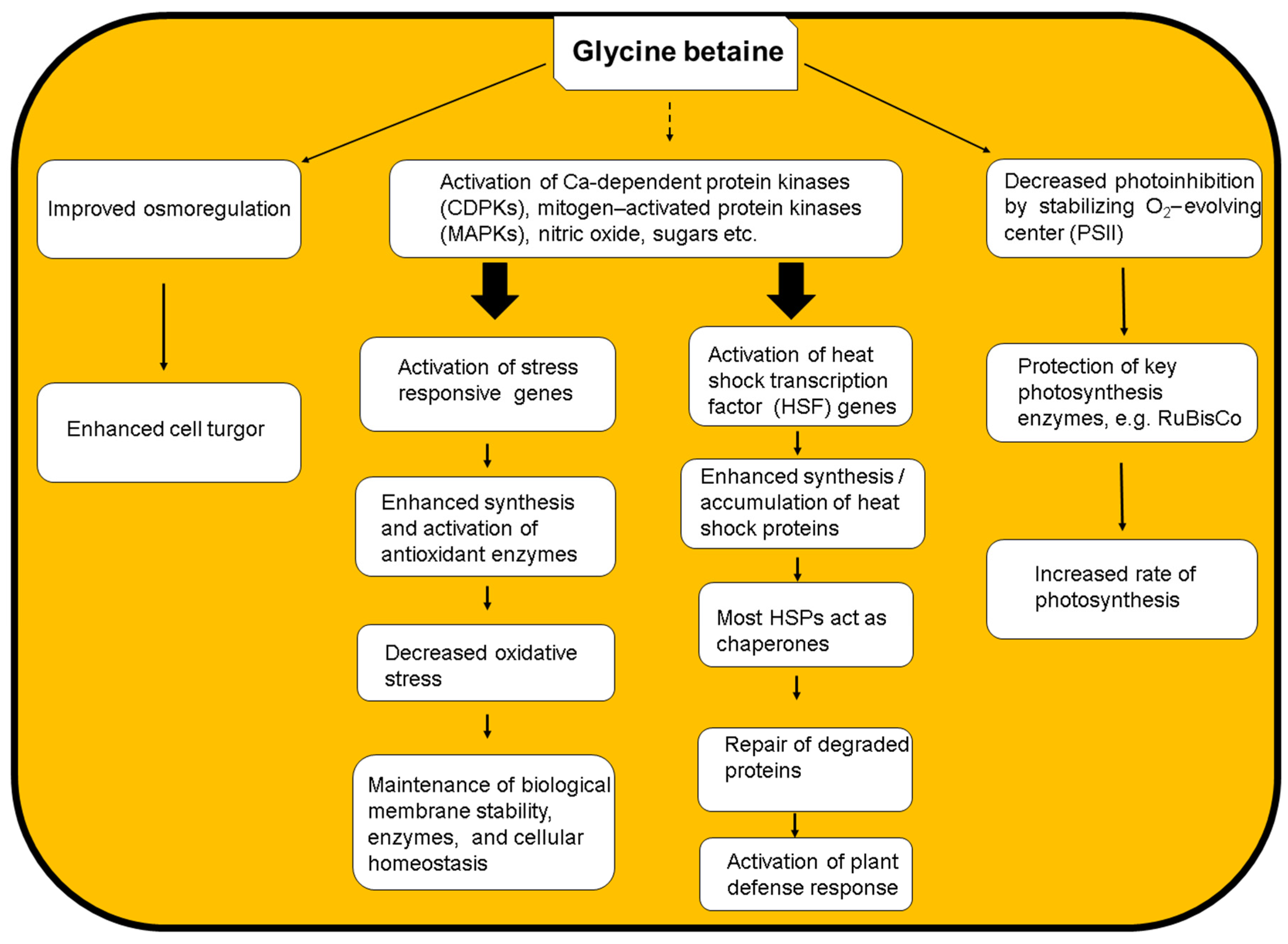 Agronomy 12 00276 g002 550