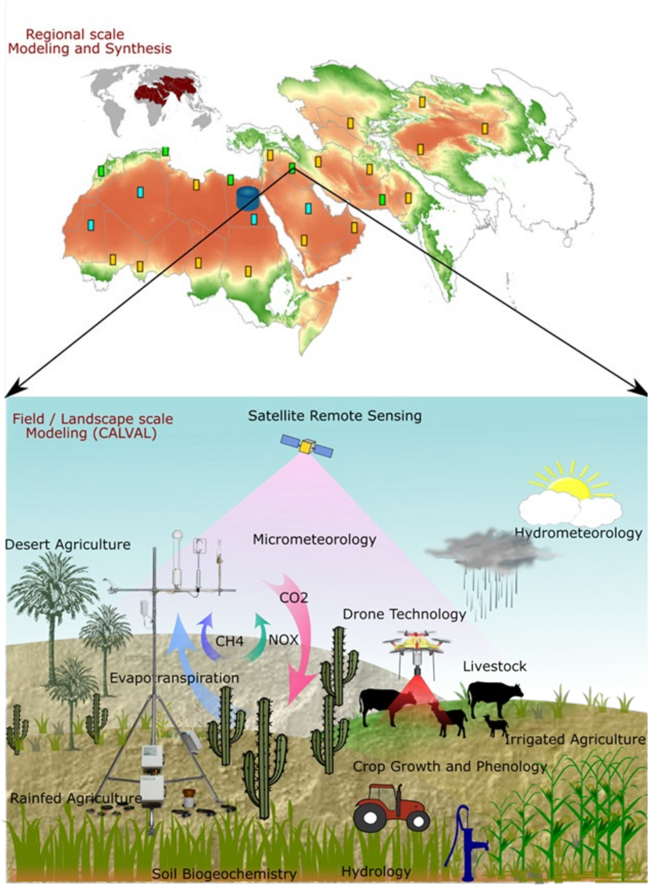 Agronomy 12 00279 g003 550