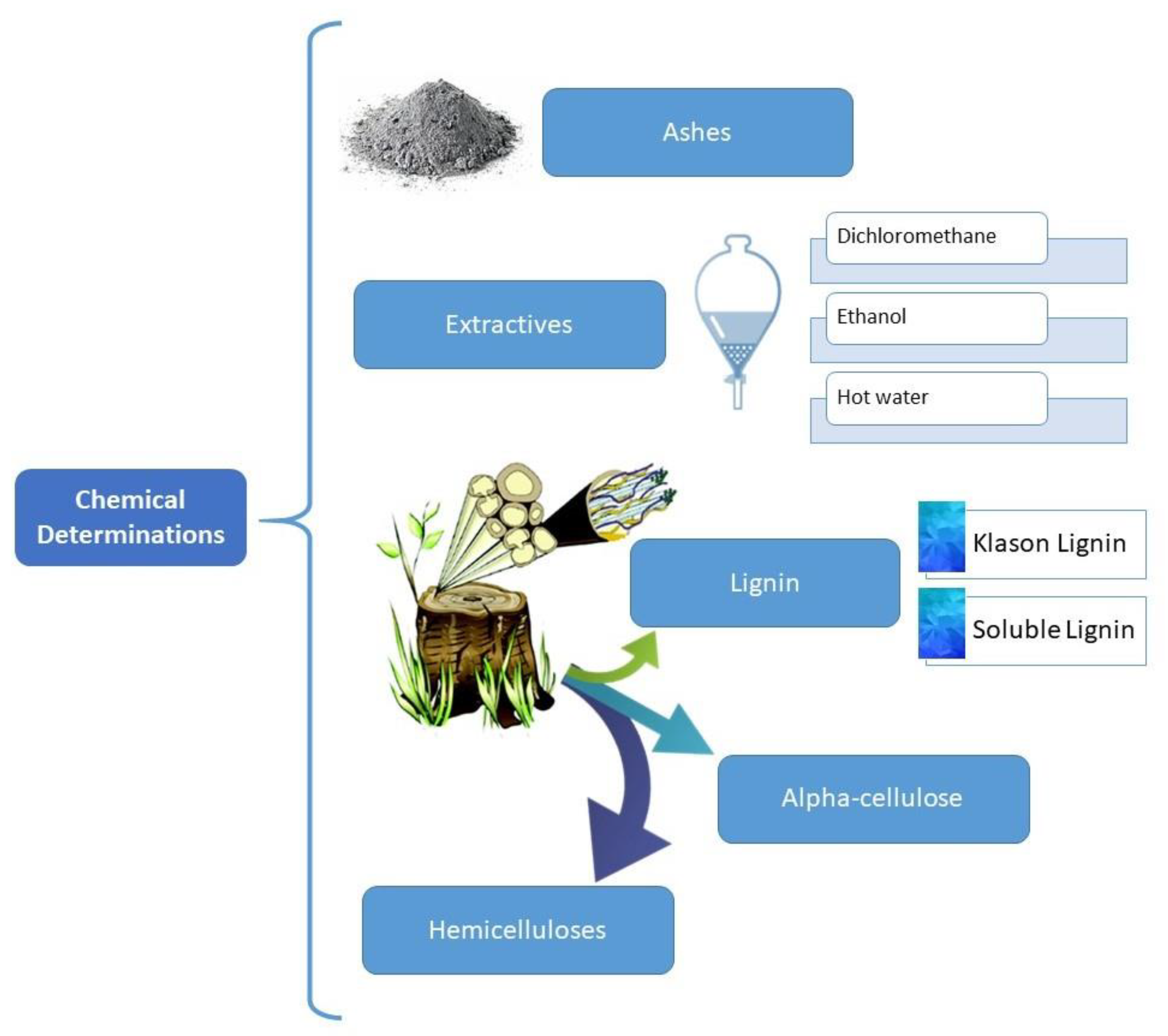 Agronomy 12 00280 g001