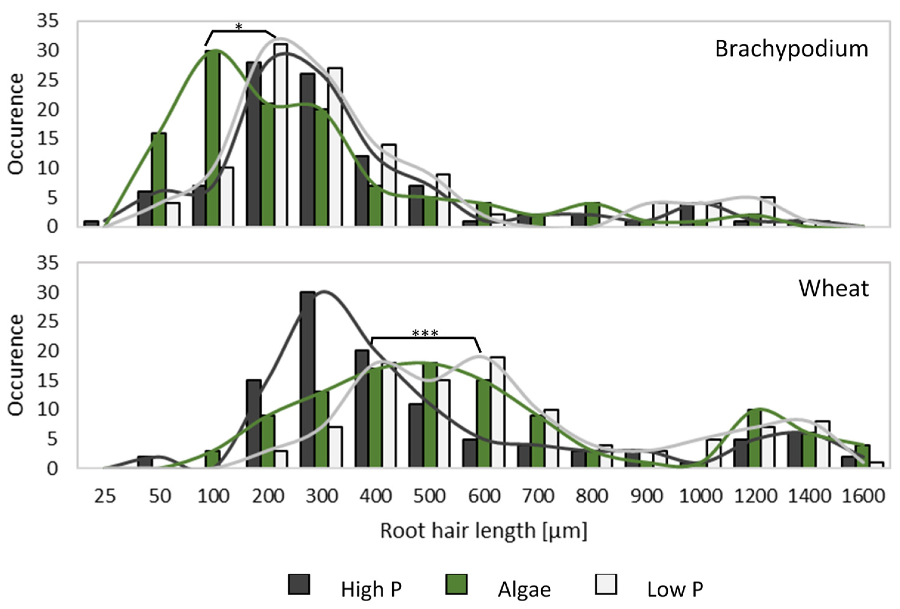 Agronomy 12 00285 g006