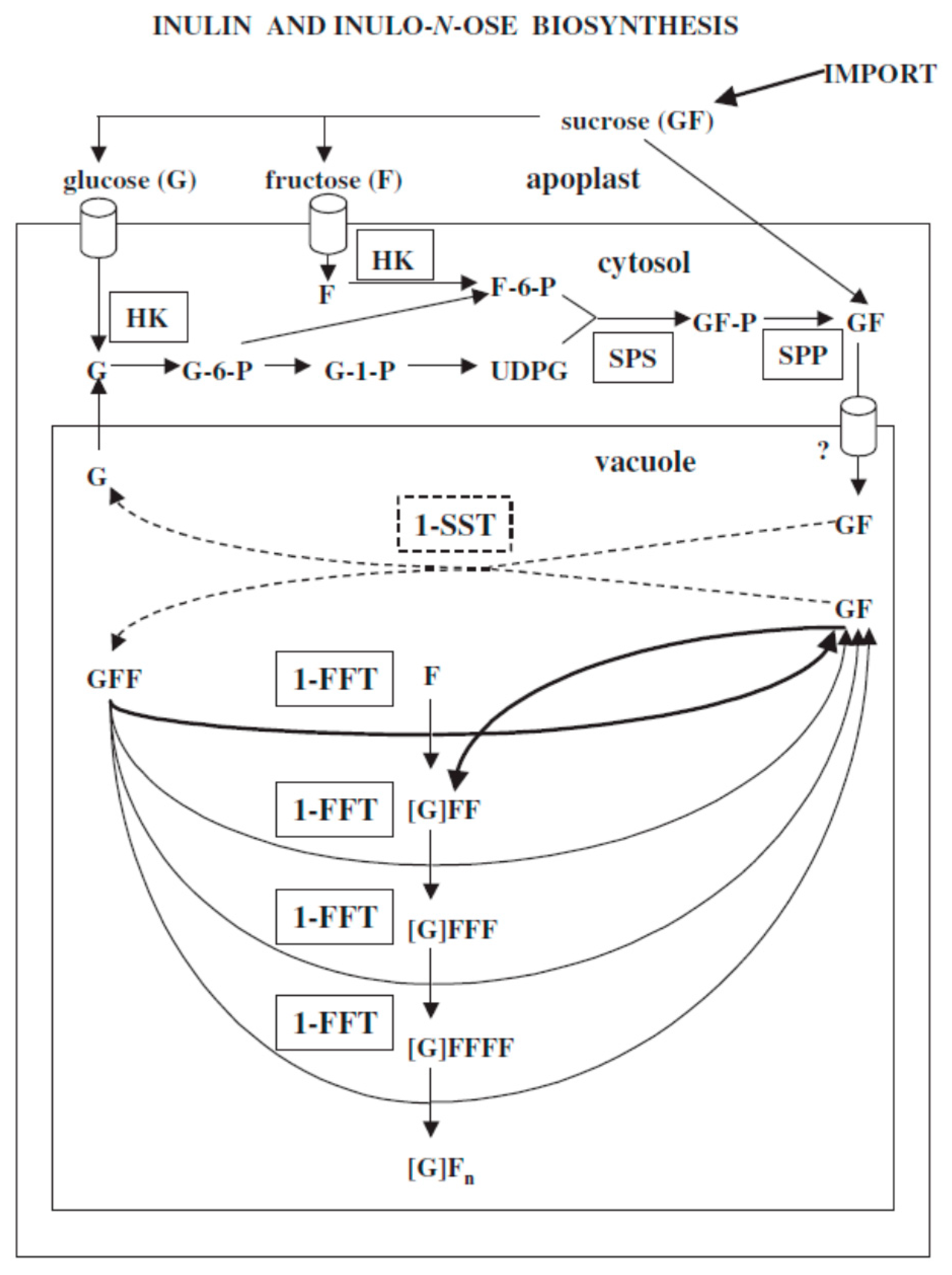 Agronomy 12 00290 g001 550