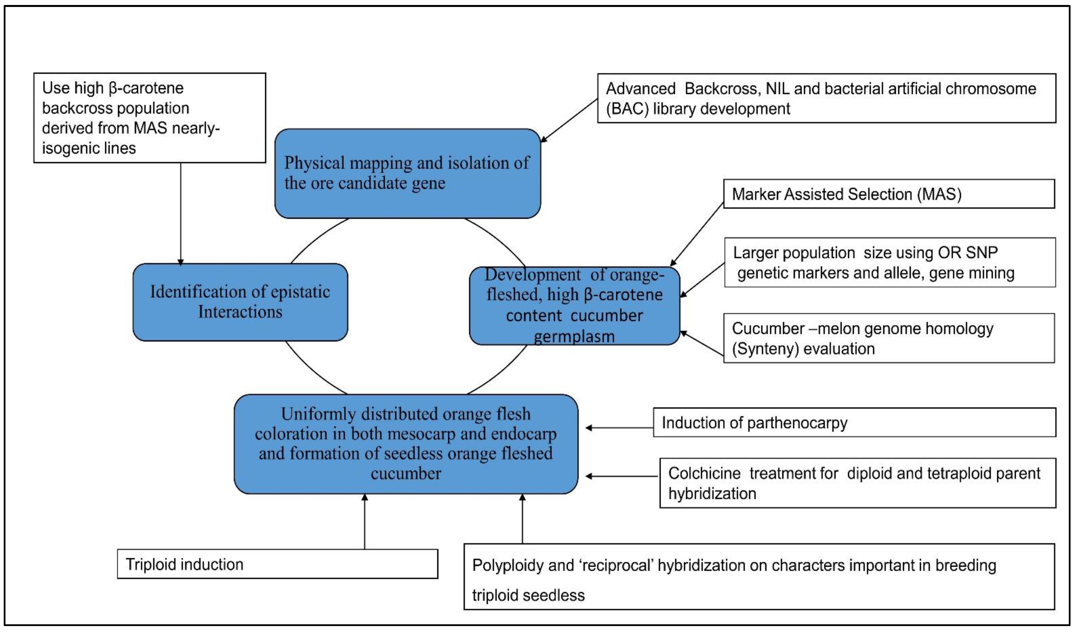 Agronomy 12 00300 g002