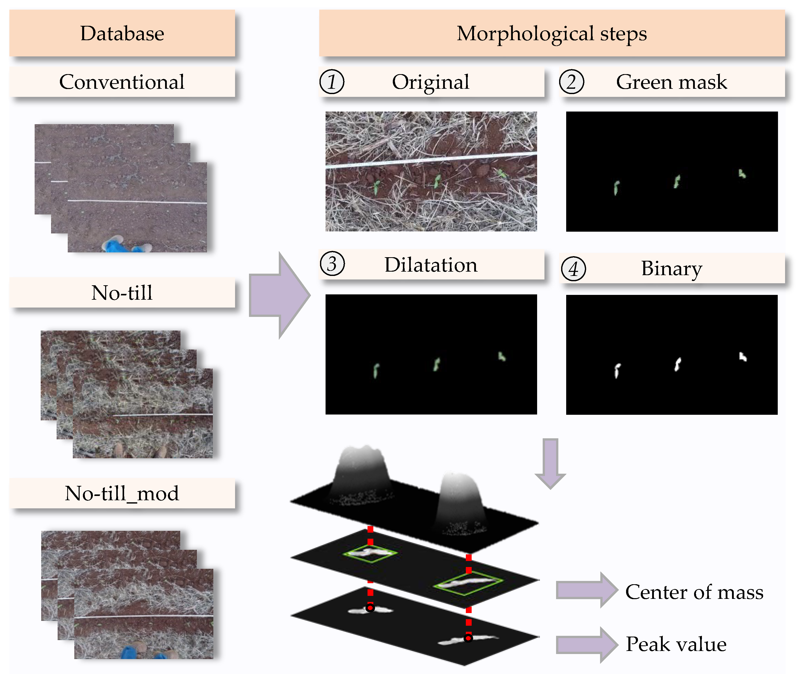 Agronomy 12 00301 g002