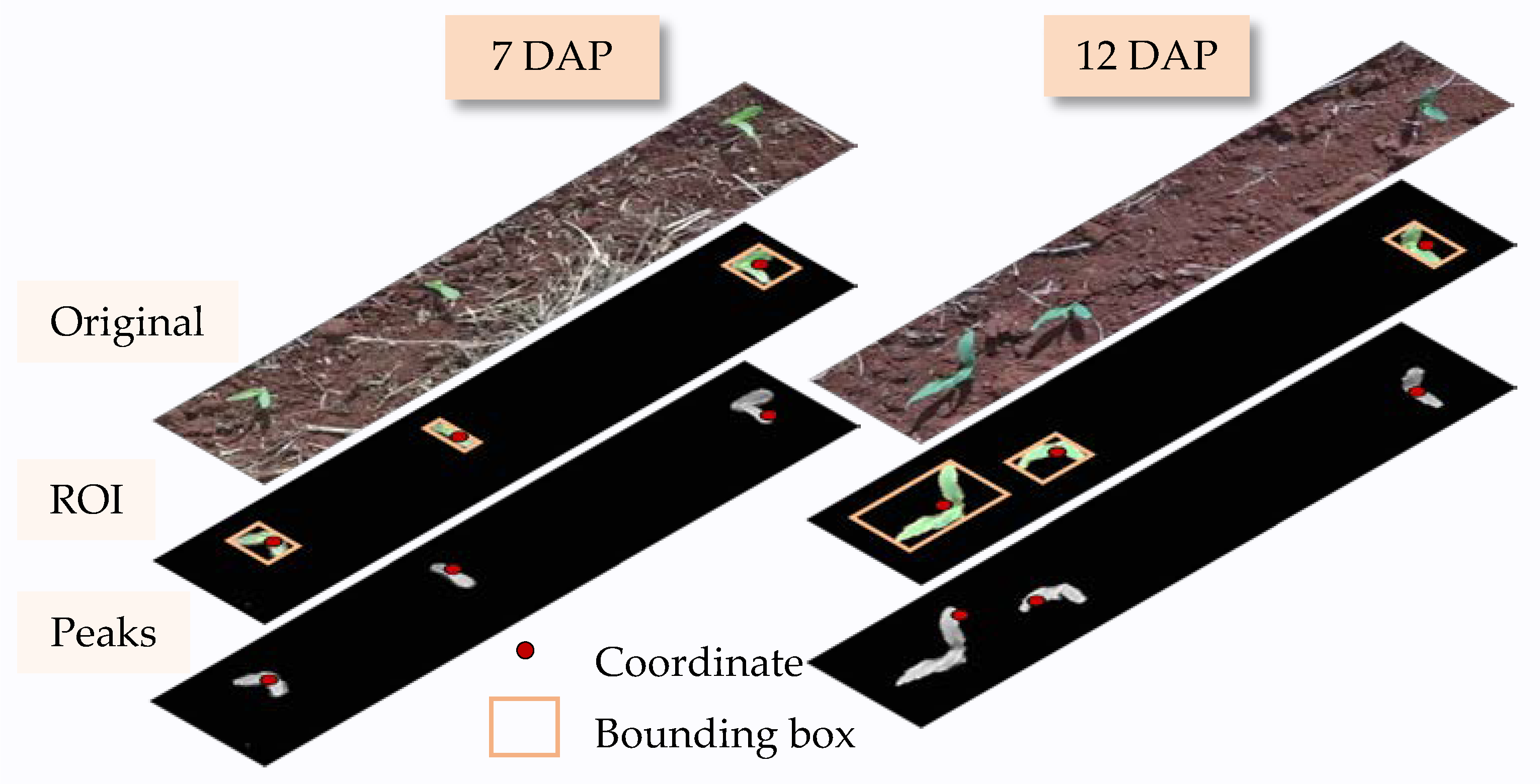 Agronomy 12 00301 g004