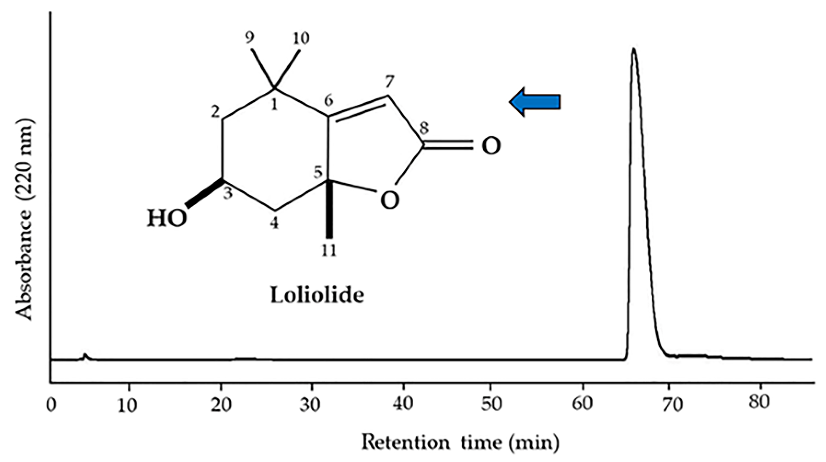 Agronomy 12 00303 g004