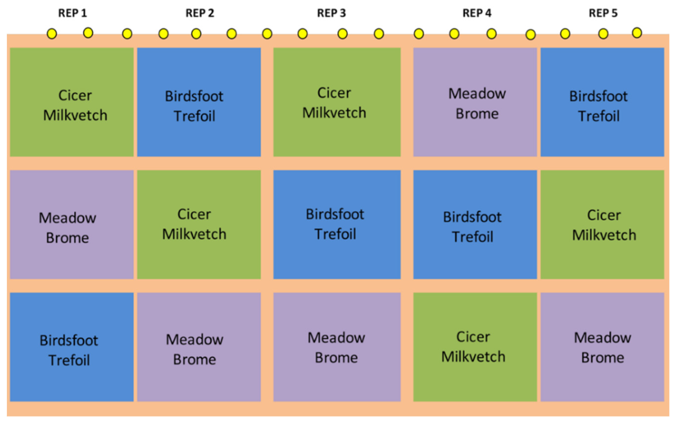 Agronomy 12 00304 g001 550