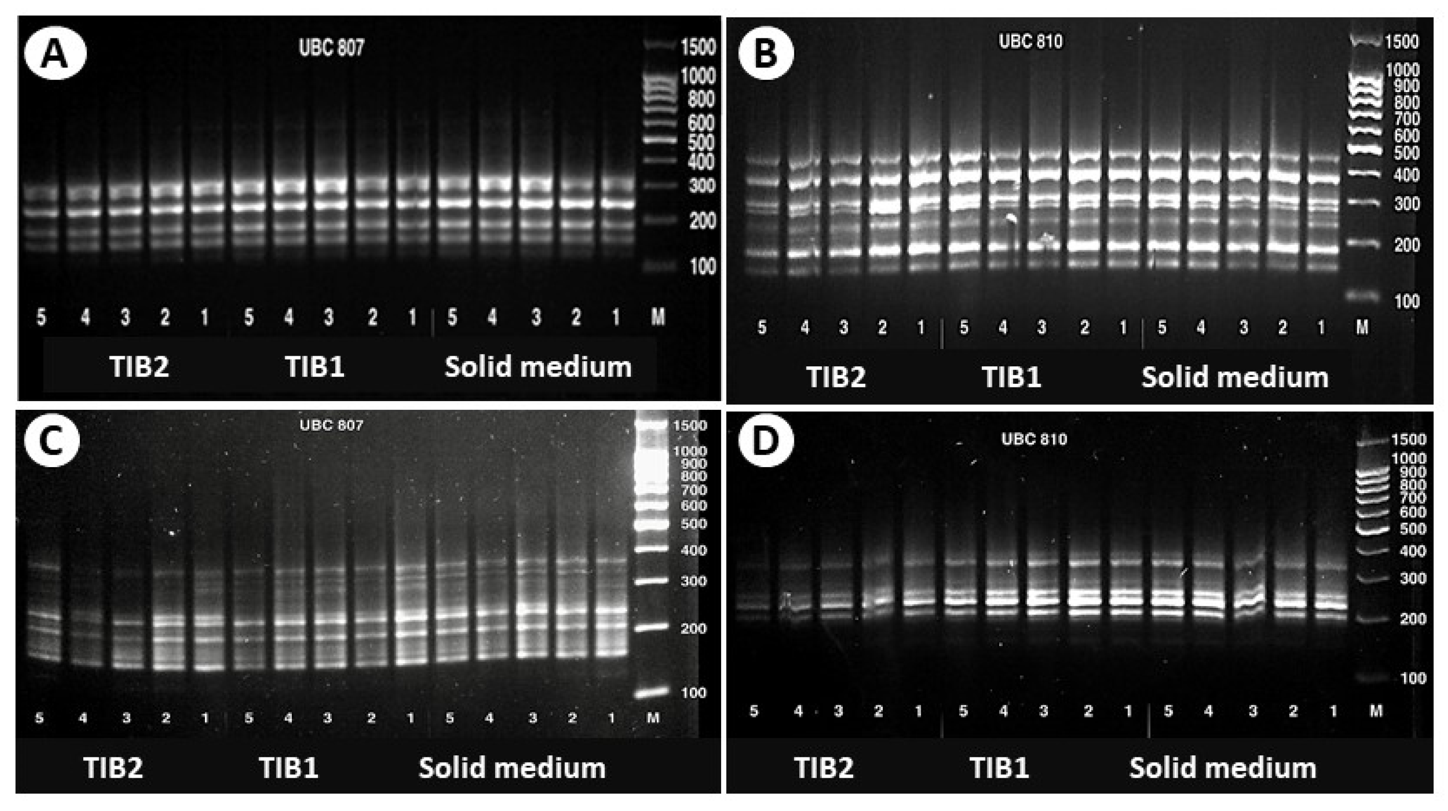 Agronomy 12 00308 g006 Agronomy 12 00308 g006