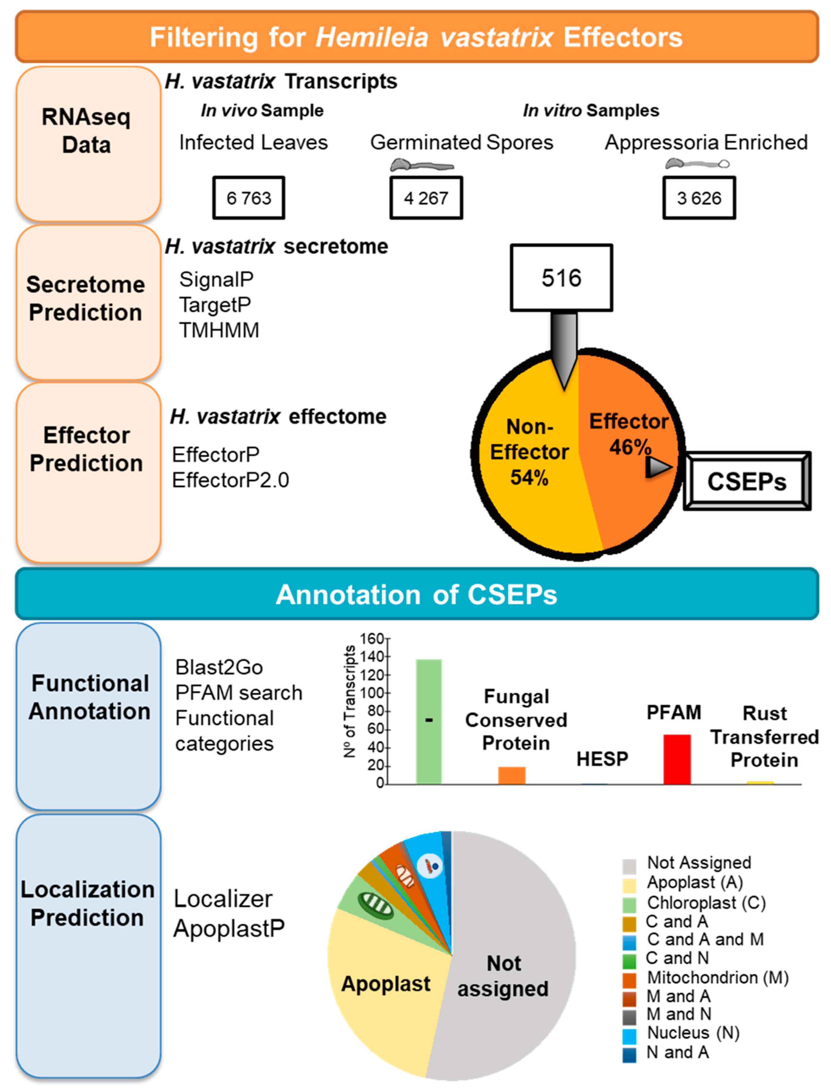 Agronomy 12 00326 g002 Agronomy 12 00326 g002