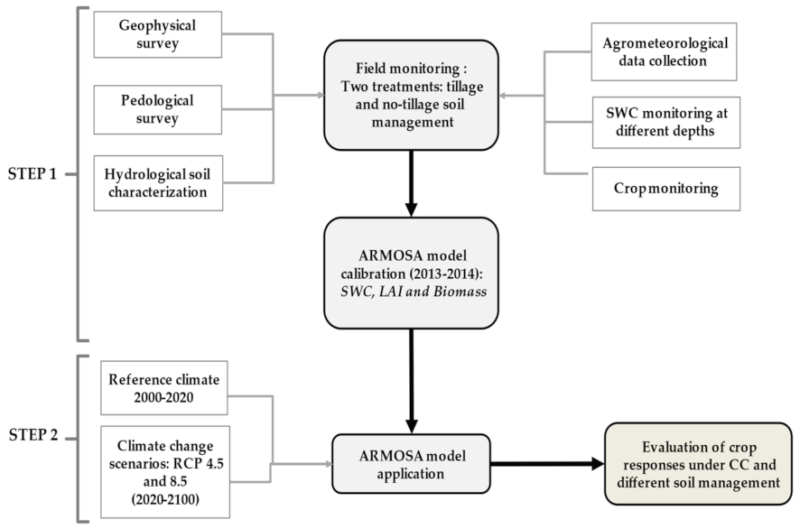 Agronomy 12 00331 g001