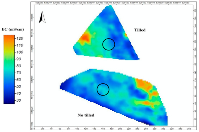 Agronomy 12 00331 g003