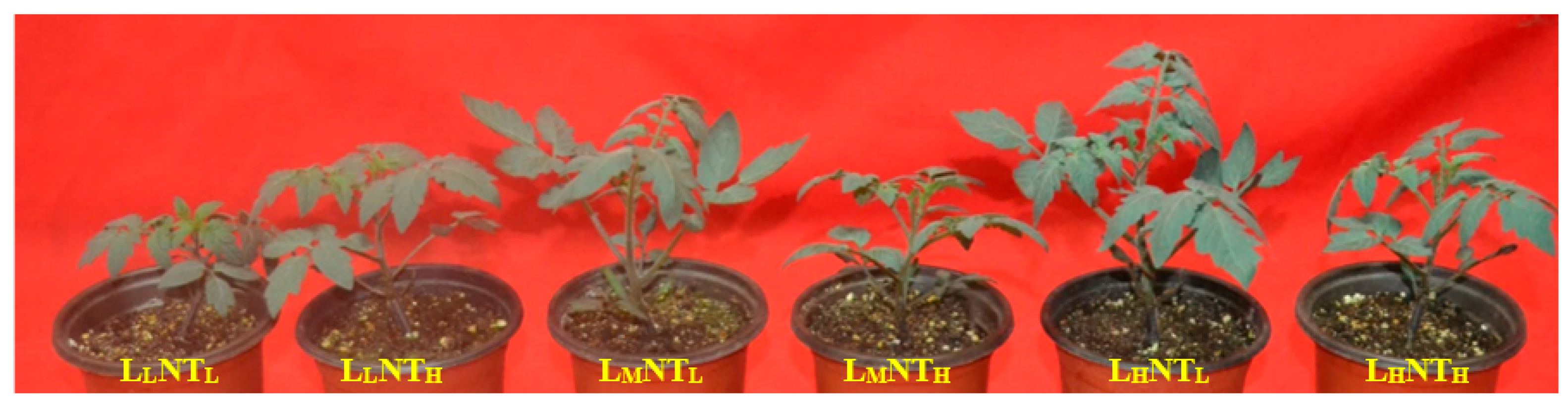 Agronomy 12 00343 g001