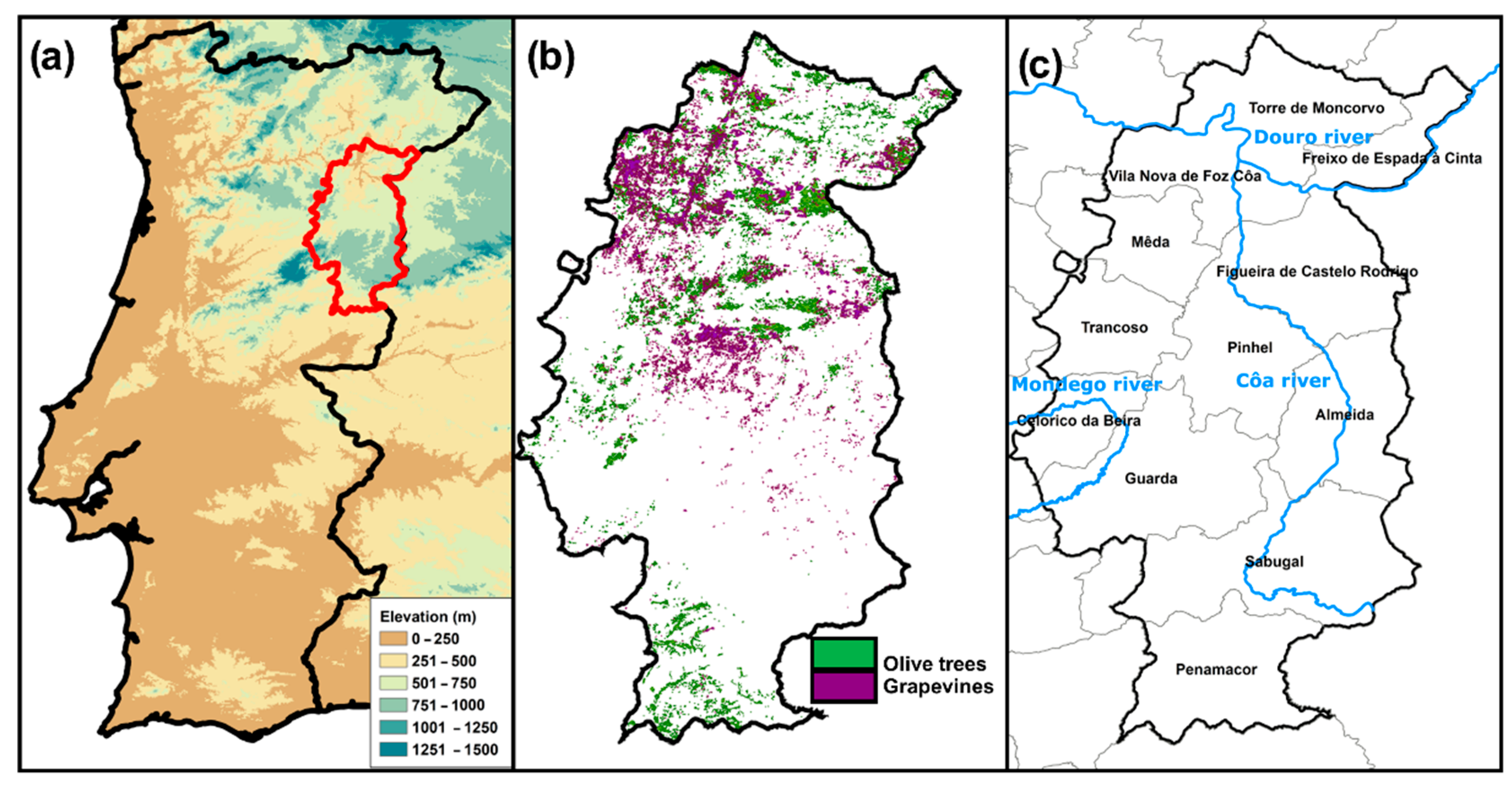 Agronomy 12 00350 g001