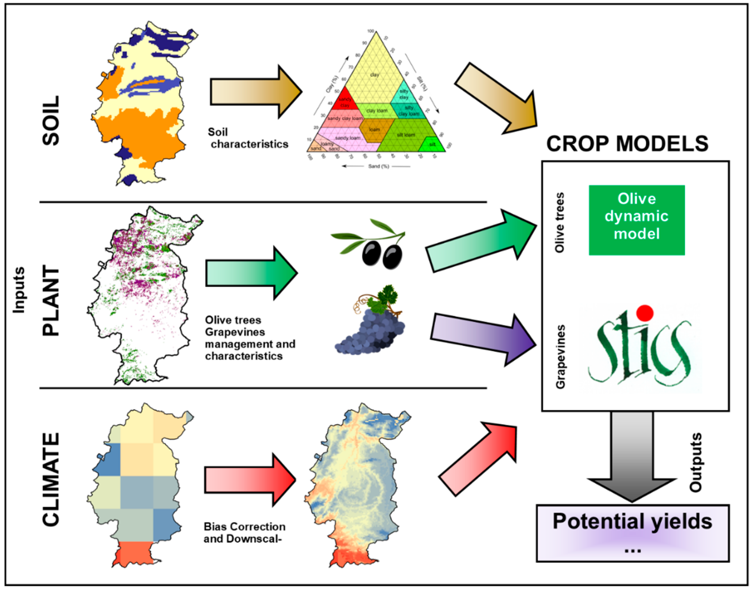 Agronomy 12 00350 g002