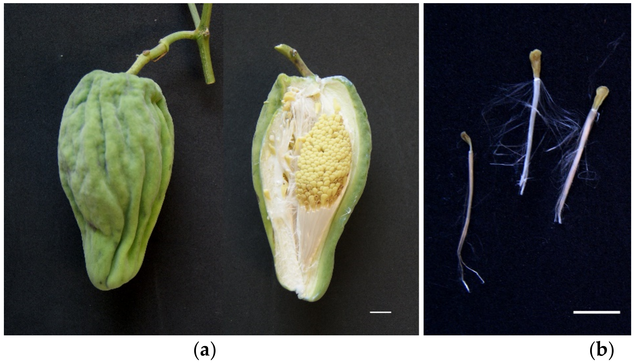 Agronomy 12 00361 g001 Agronomy 12 00361 g001