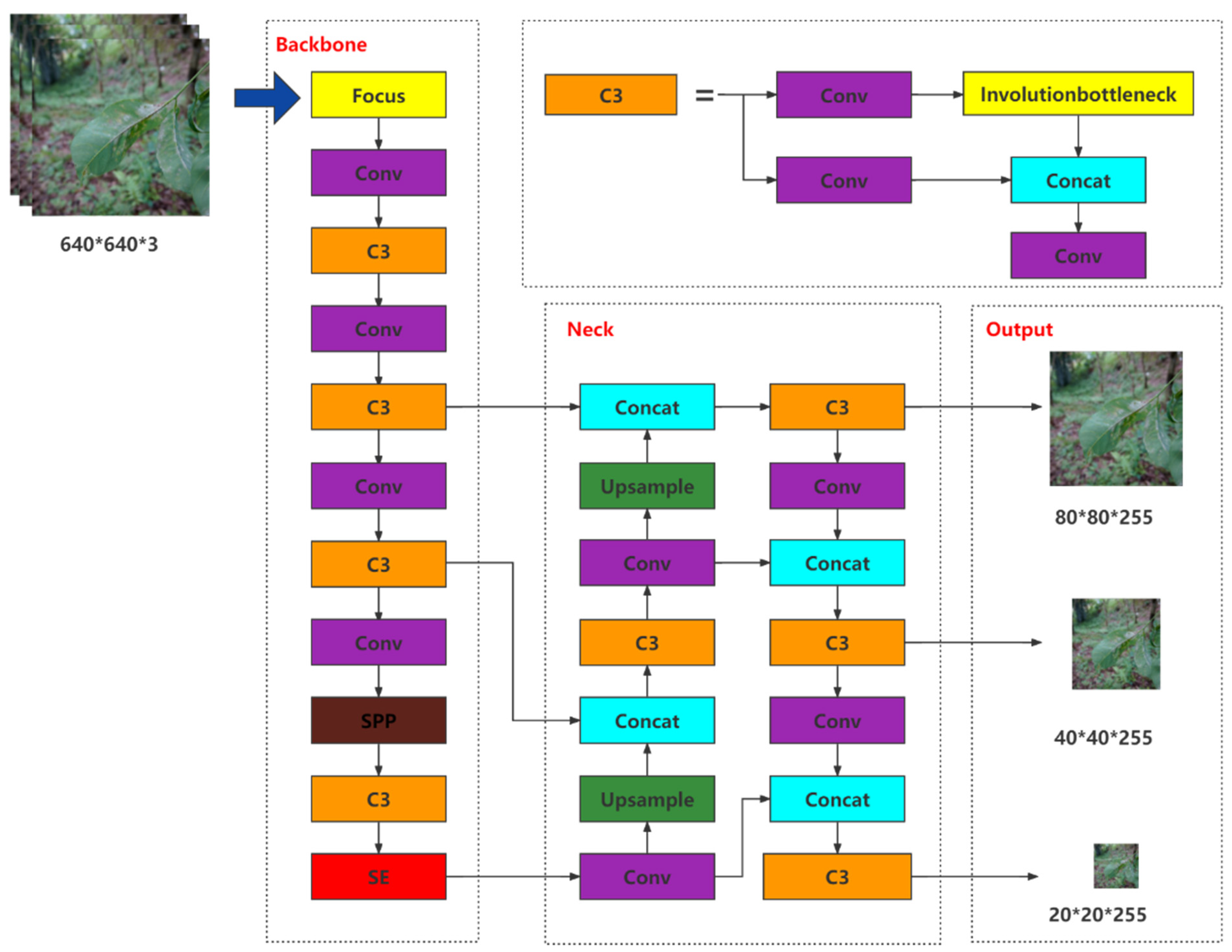 Agronomy 12 00365 g002 550