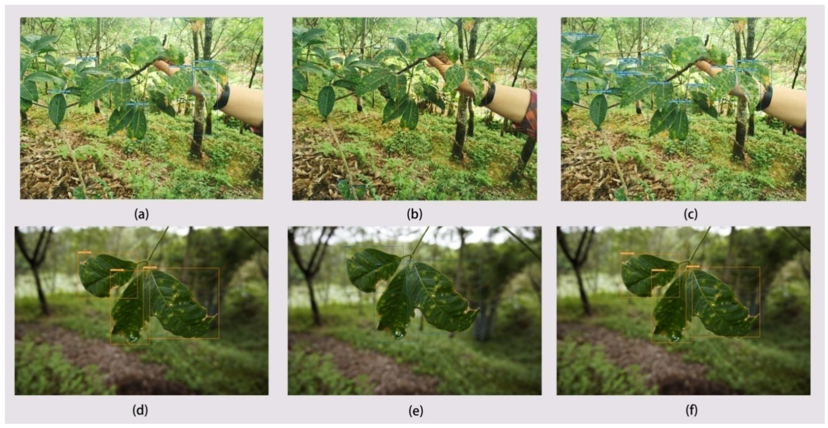 Agronomy 12 00365 g008 550