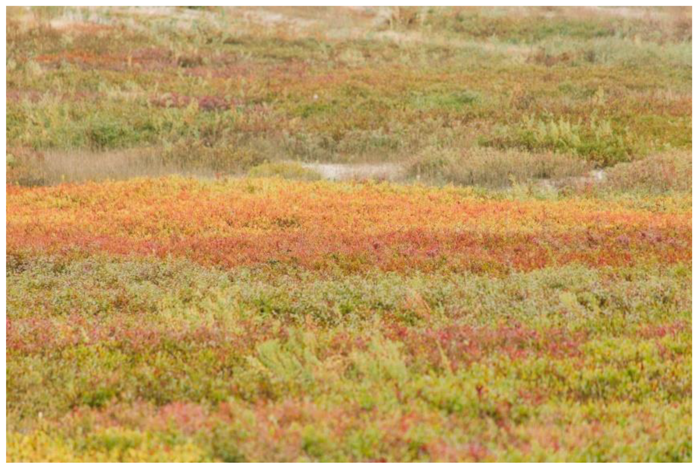 Agronomy 12 00371 g001 Agronomy 12 00371 g001